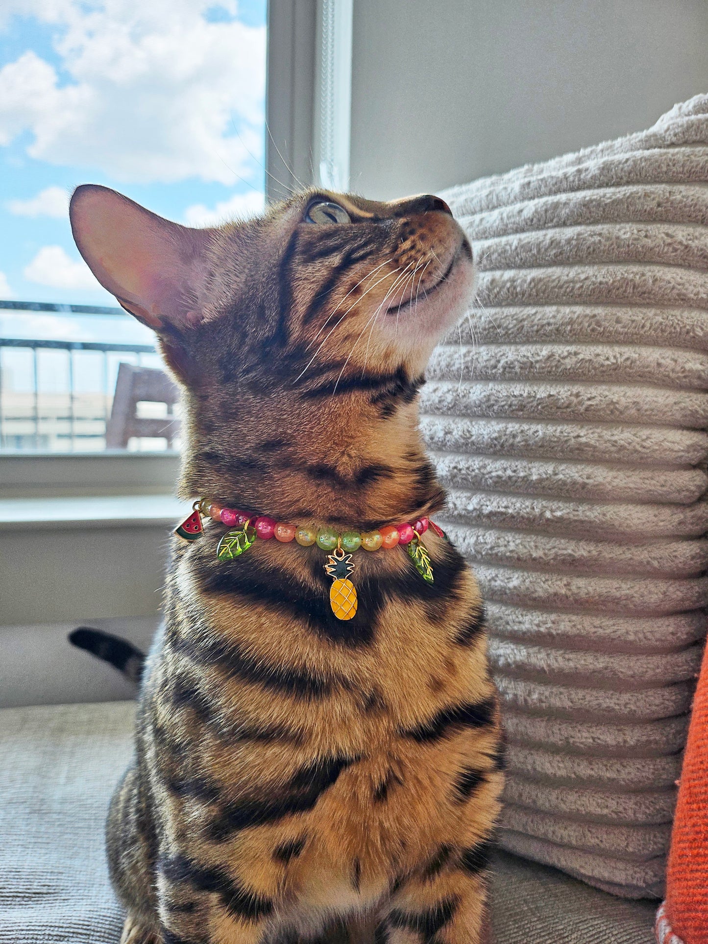 Tropicat Pet Necklace