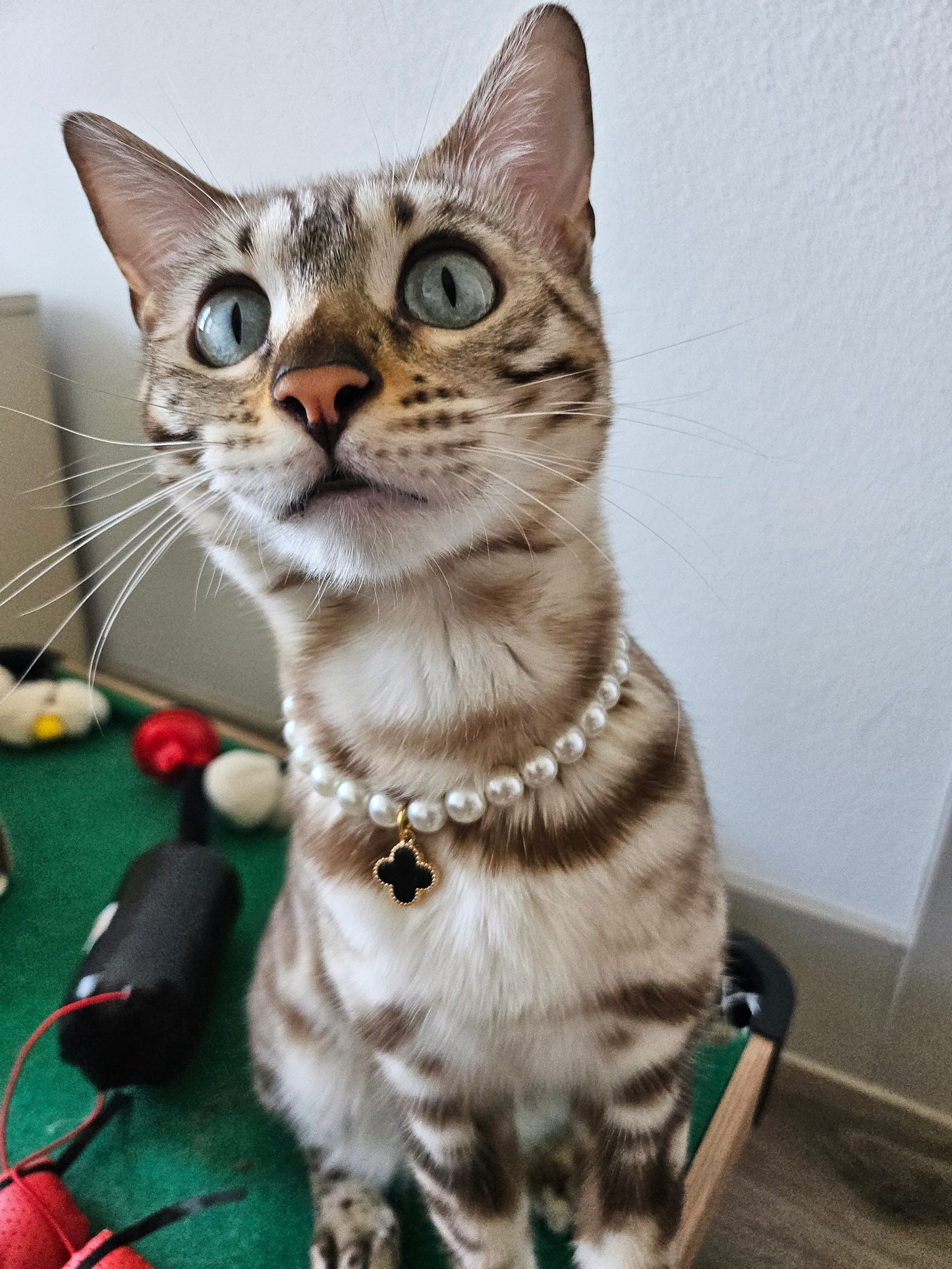 Van C Arpaw Pet Necklace