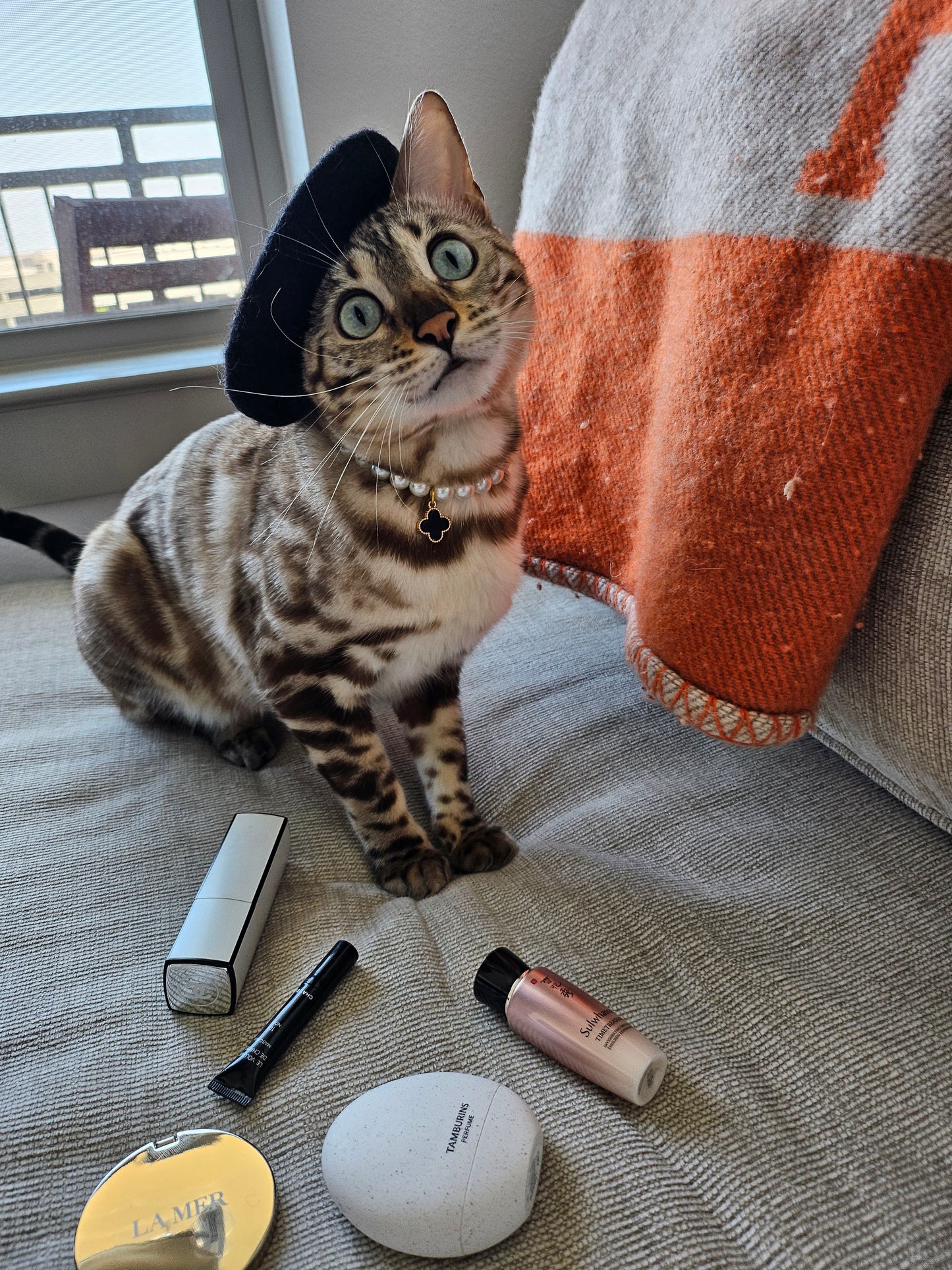 Van C Arpaw Pet Necklace