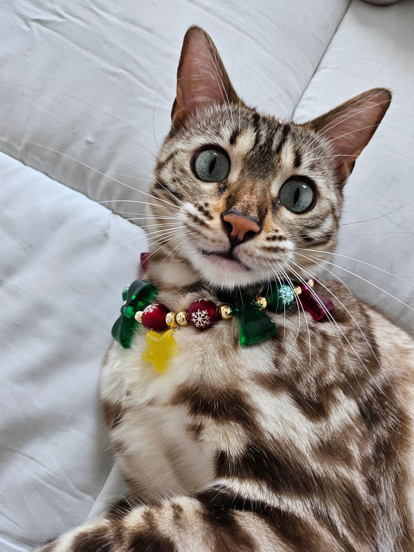Starry Christmas Delight