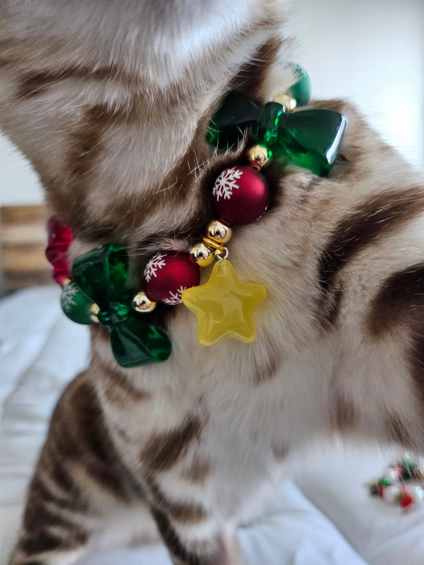 Starry Christmas Delight
