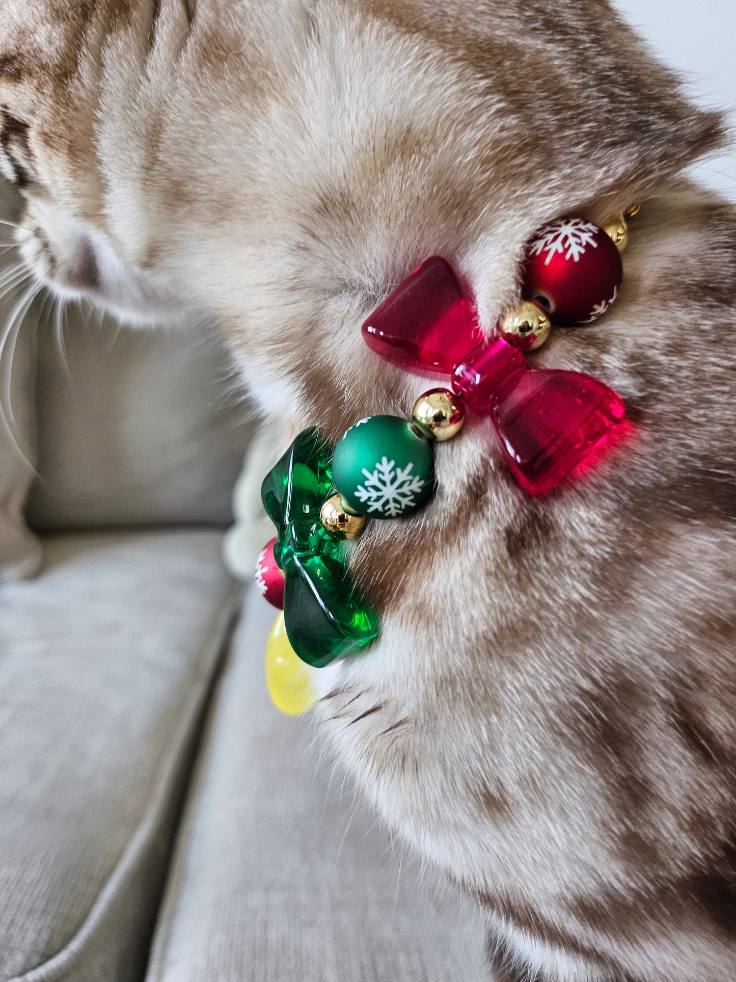 Starry Christmas Delight