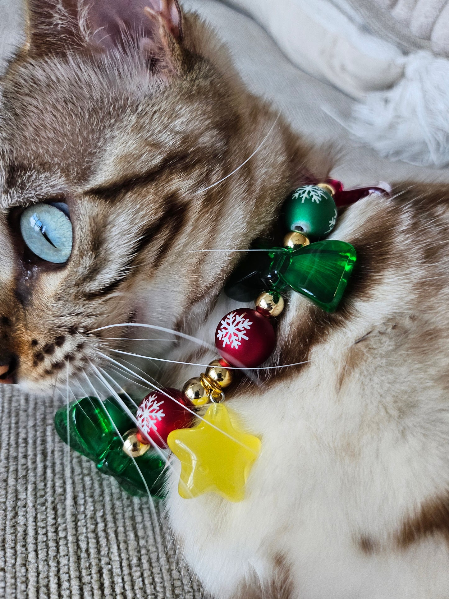 Starry Christmas Delight