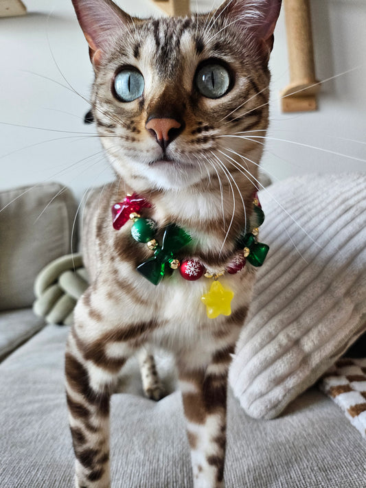 Starry Christmas Delight