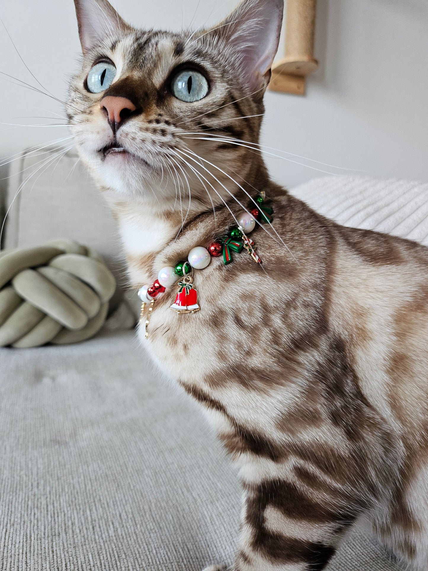 Santa’s Holiday Sparkle