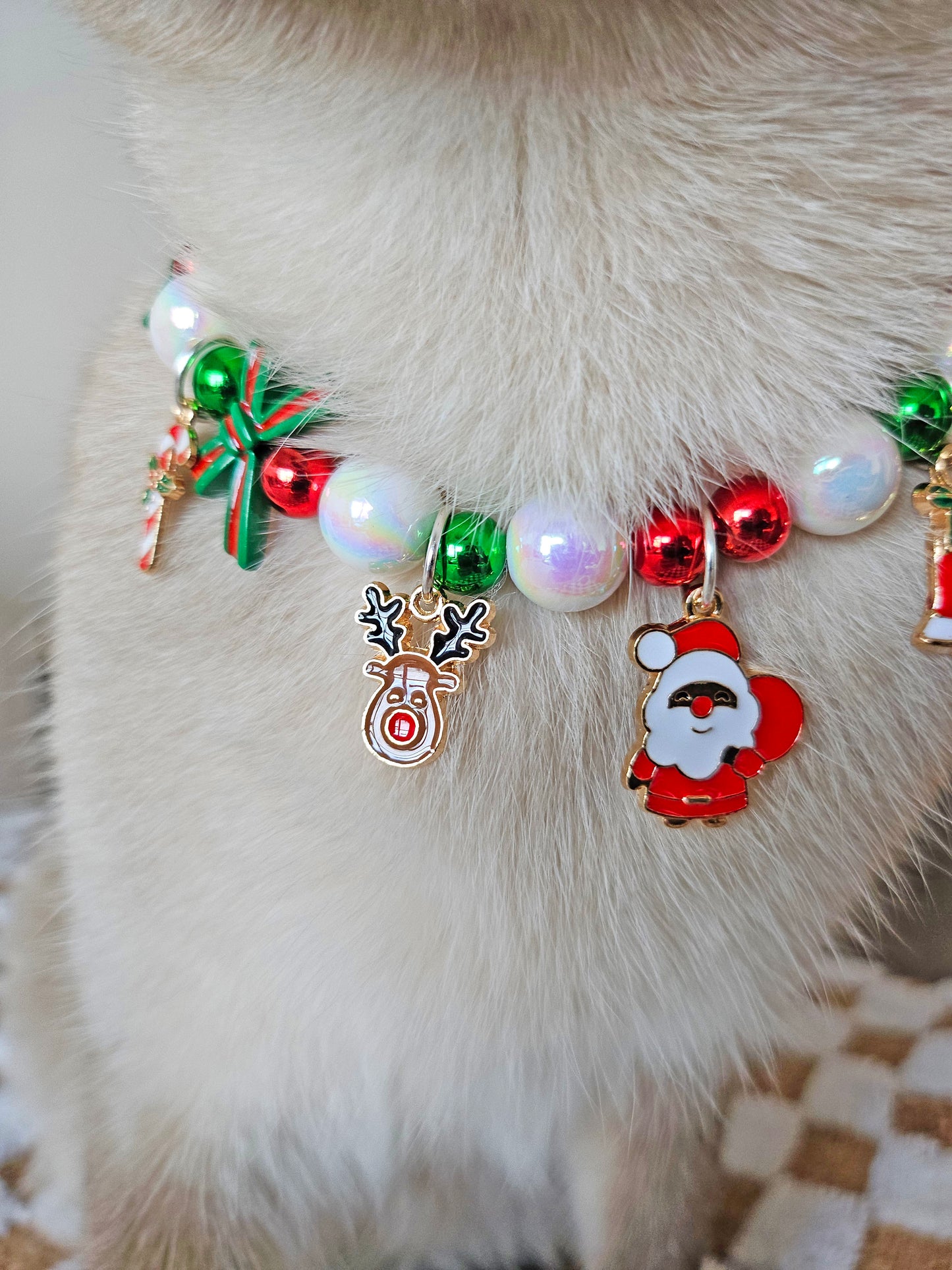 Santa’s Holiday Sparkle