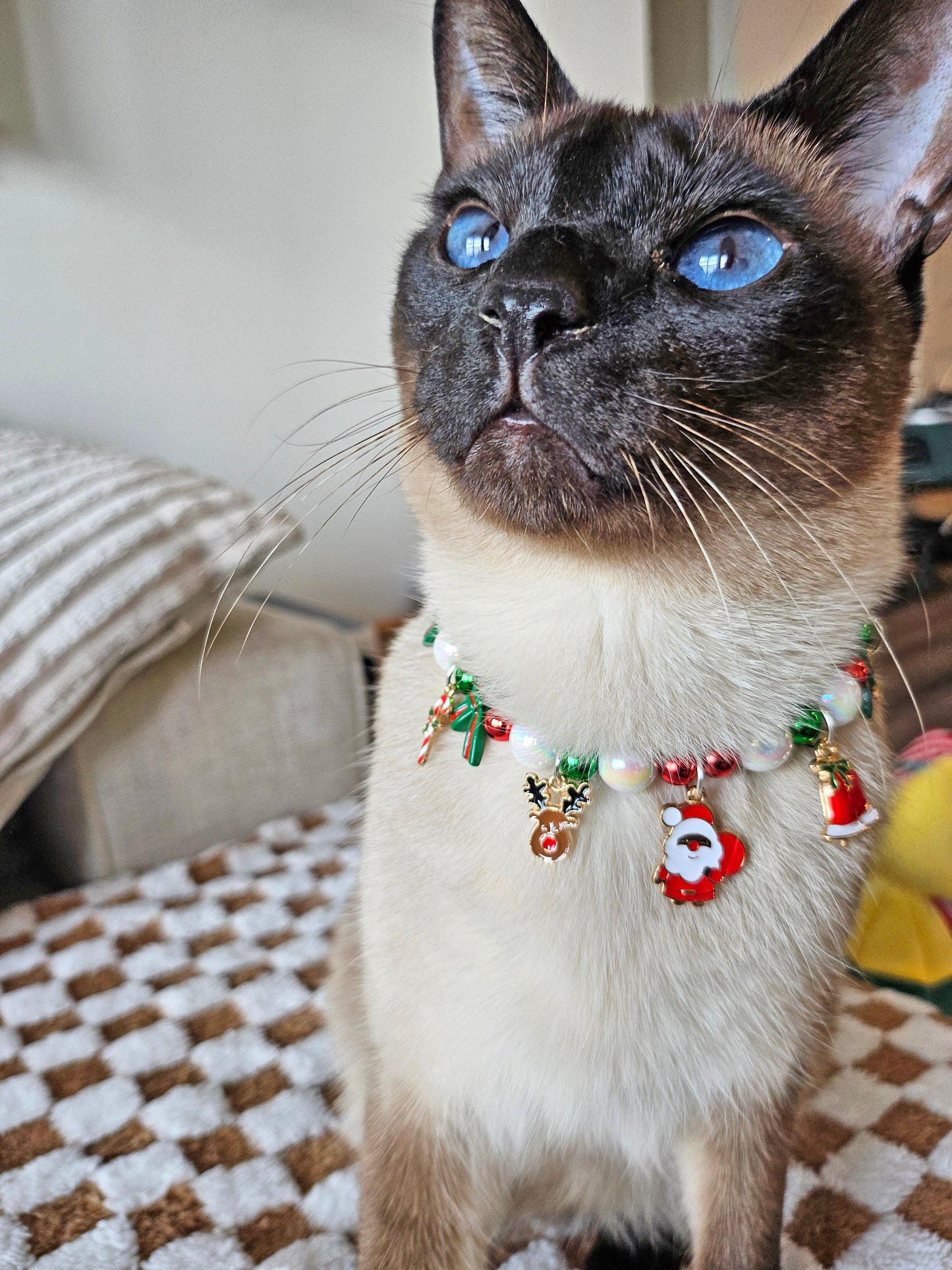 Santa’s Holiday Sparkle