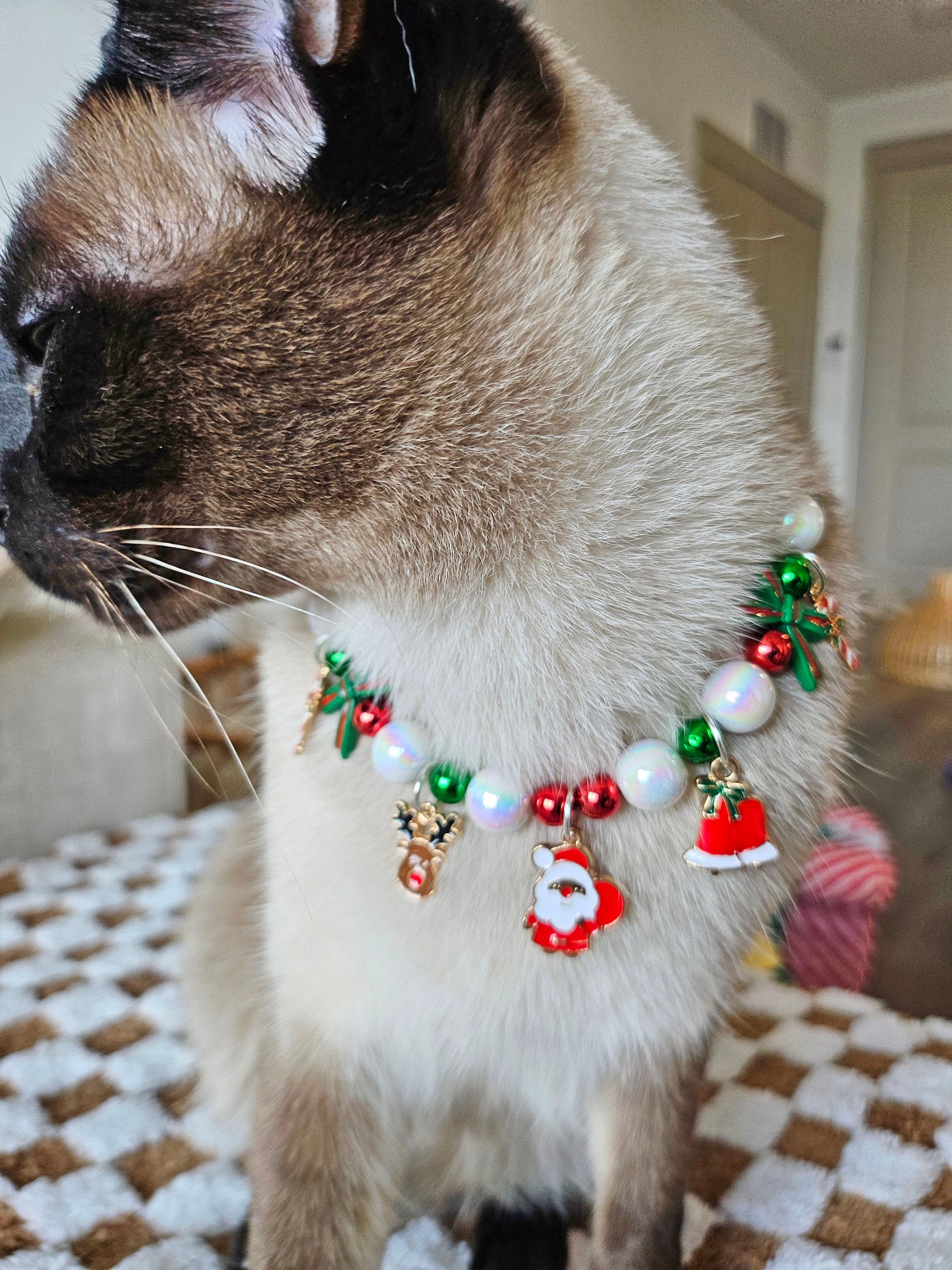 Santa’s Holiday Sparkle