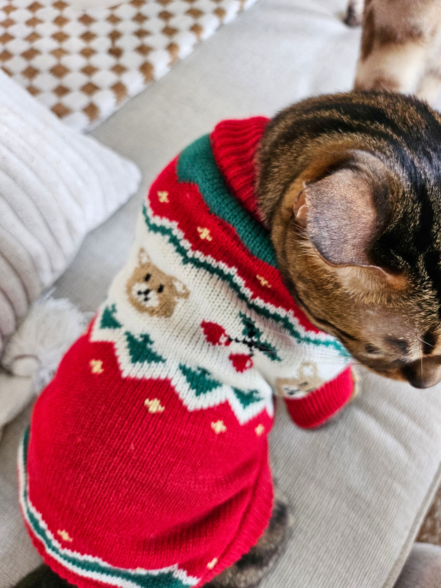 Le Petit Bear Pet Sweater