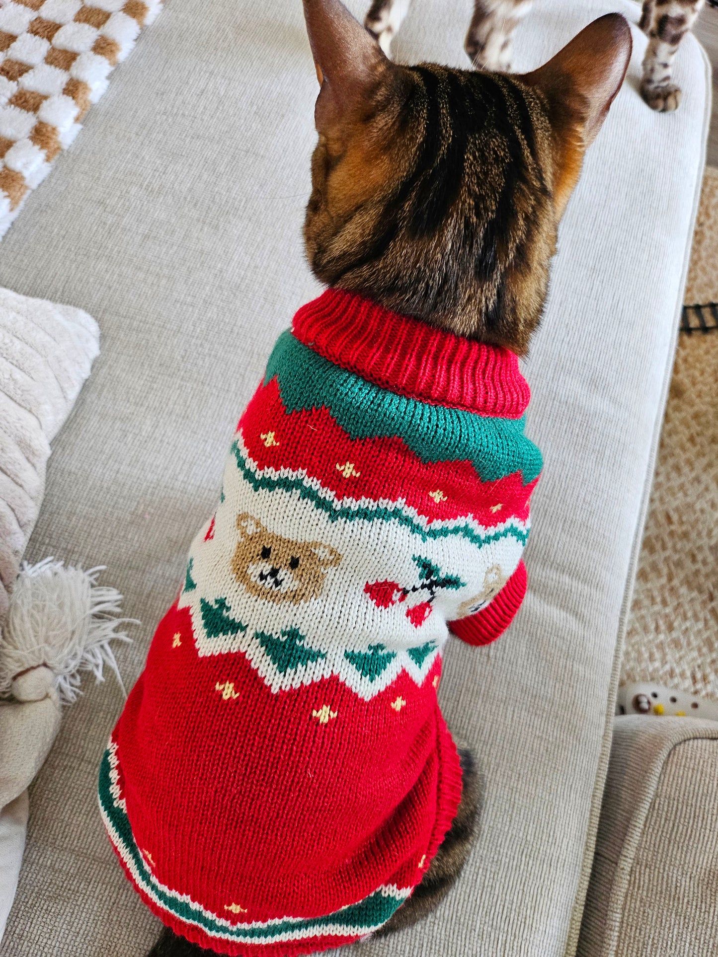 Le Petit Bear Pet Sweater