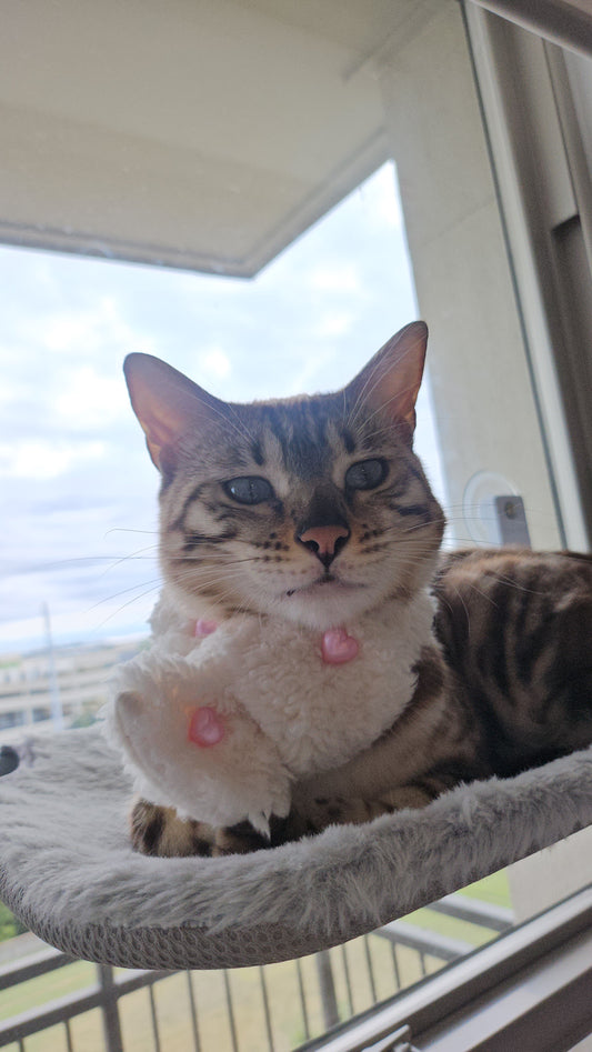 Snowbelle Heart Scarf