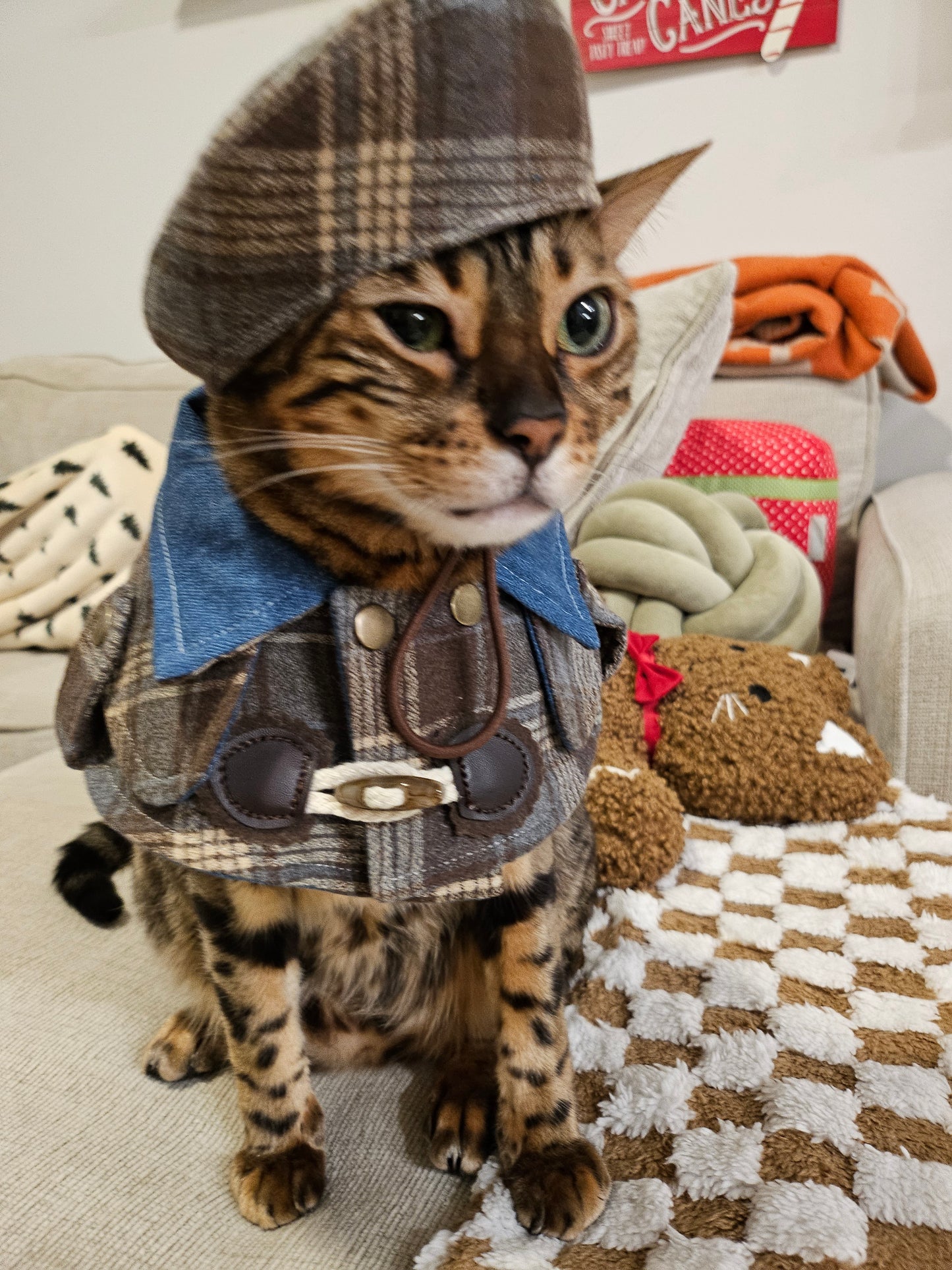 Purfect Gentleman Pet Beret