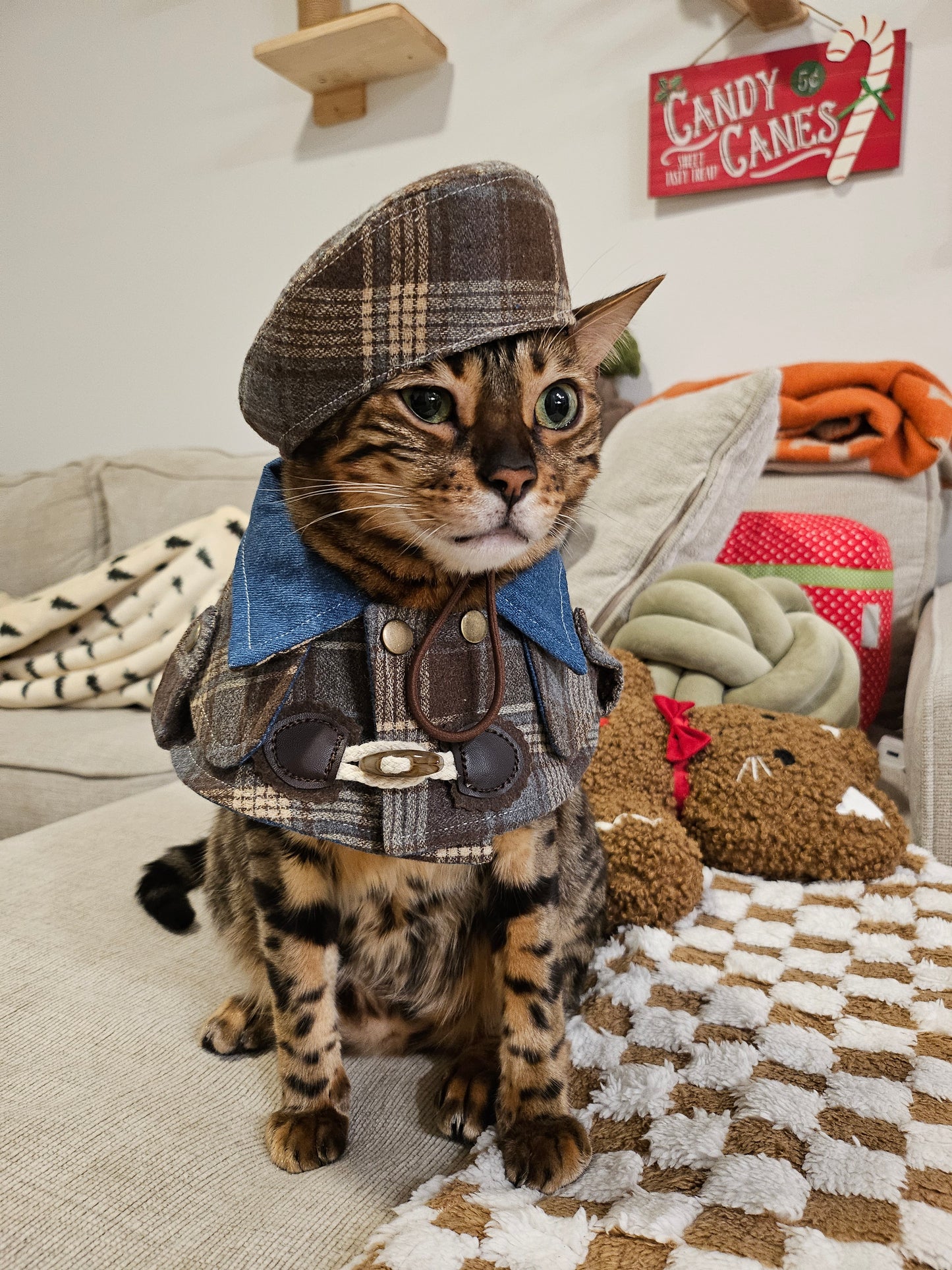 Purfect Gentleman Pet Beret