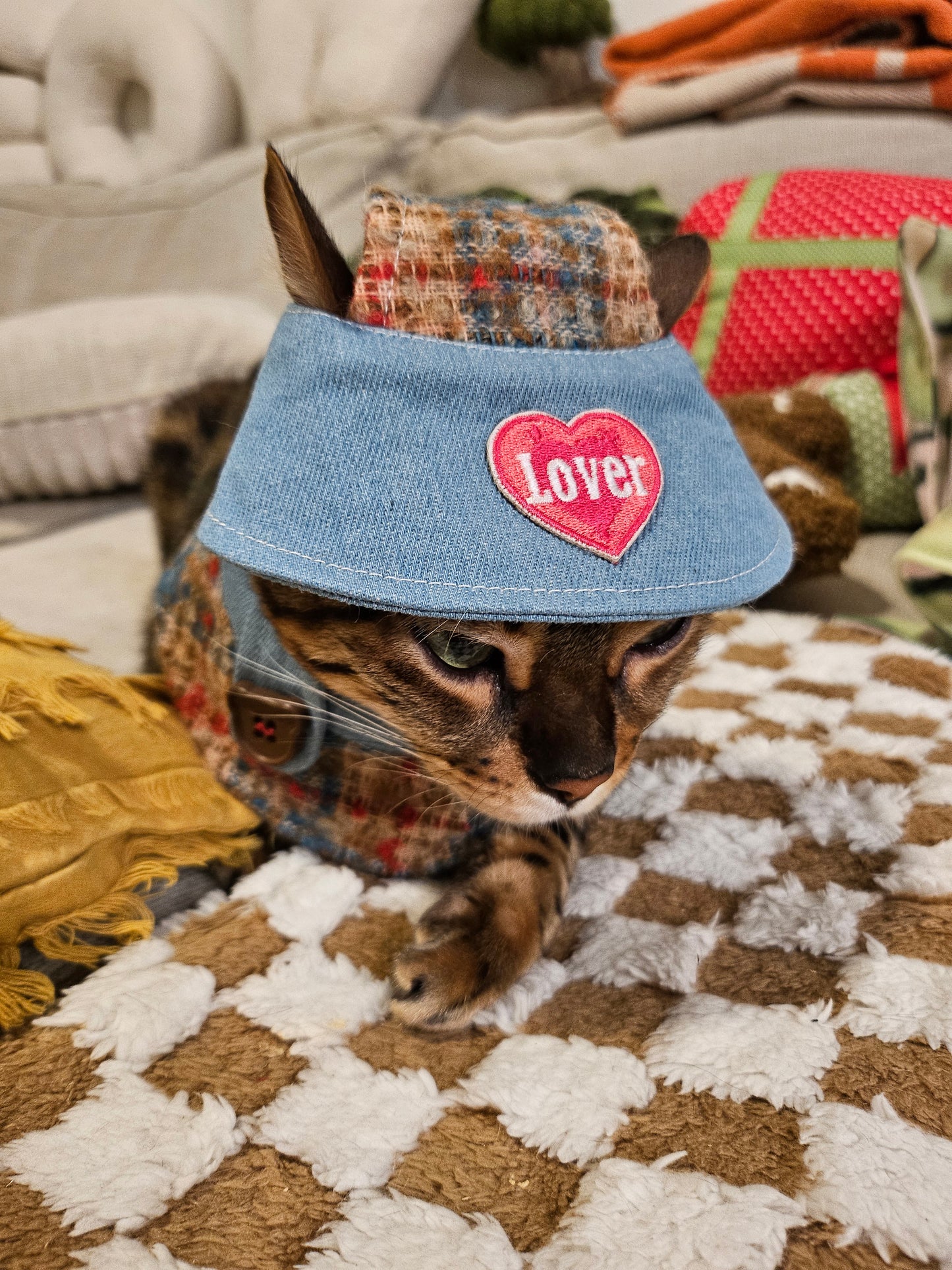 Furever Love Pet Cap