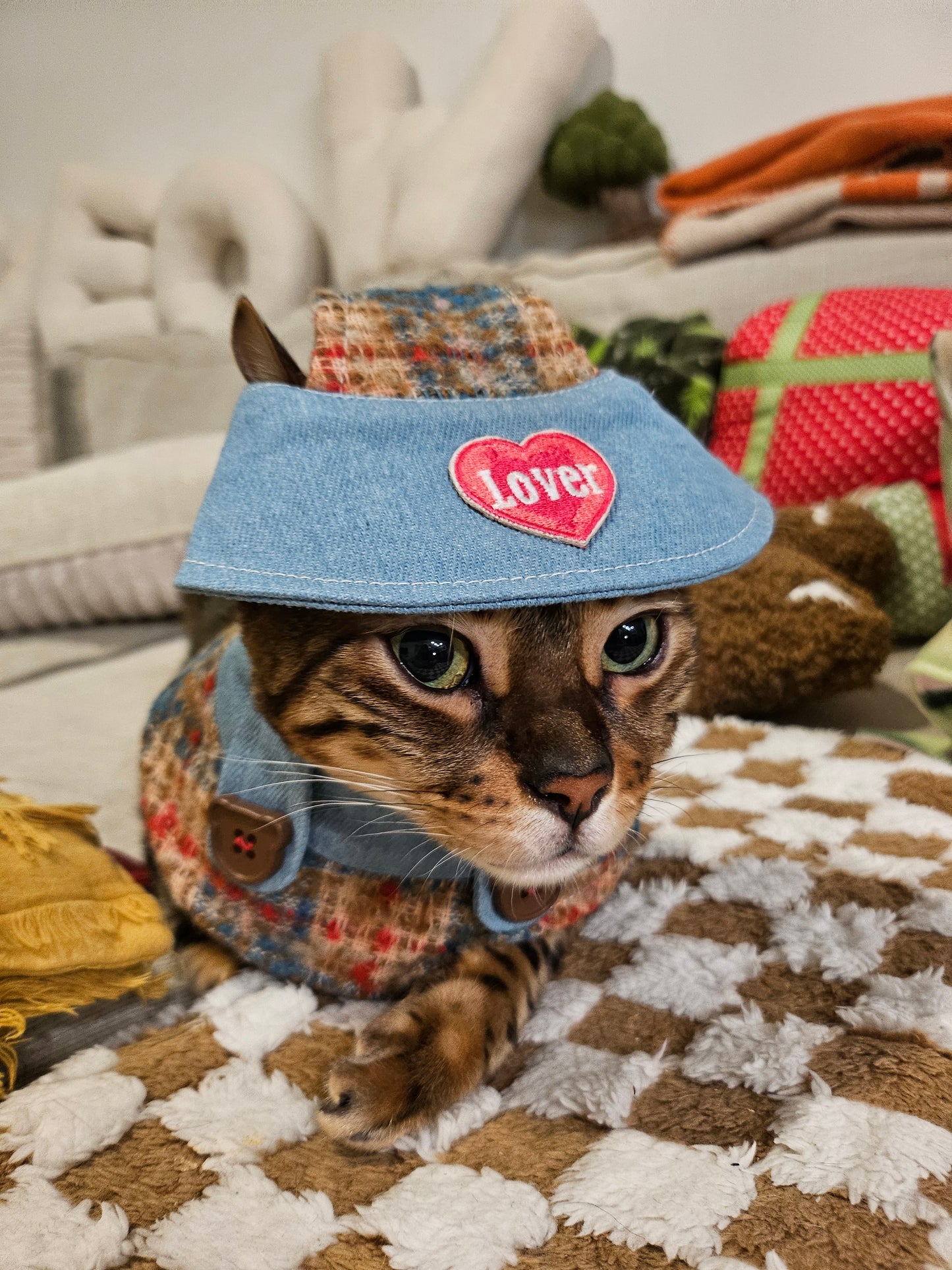 Furever Love Pet Cap