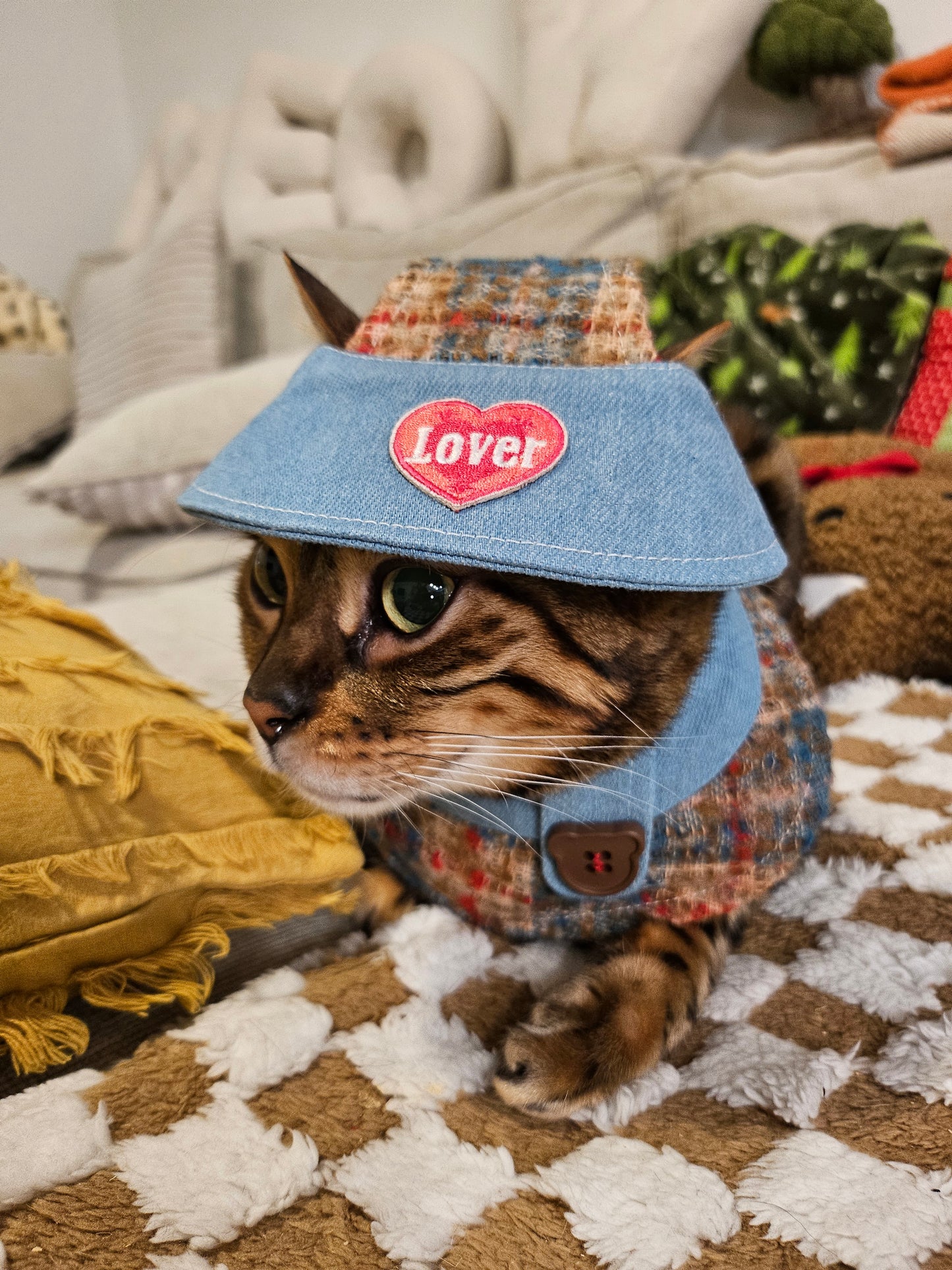 Furever Love Pet Cap