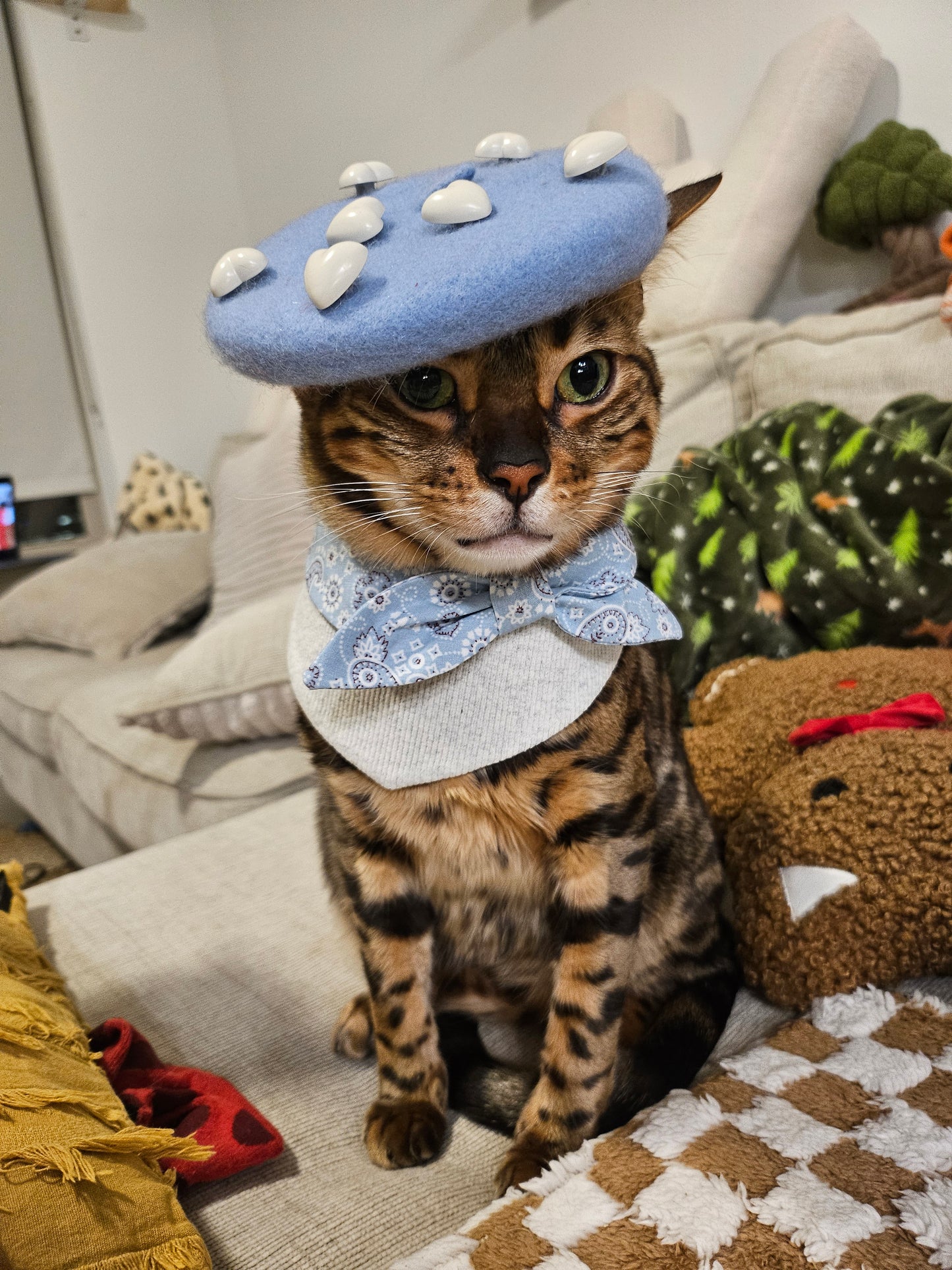Purisian Beau Pet Bandana (reversible)