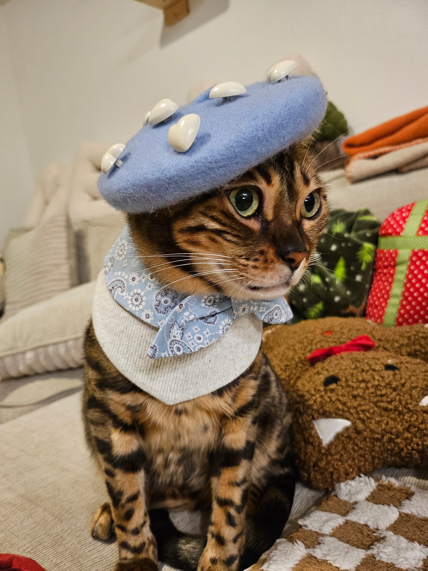 Purisian Beau Pet Bandana (reversible)