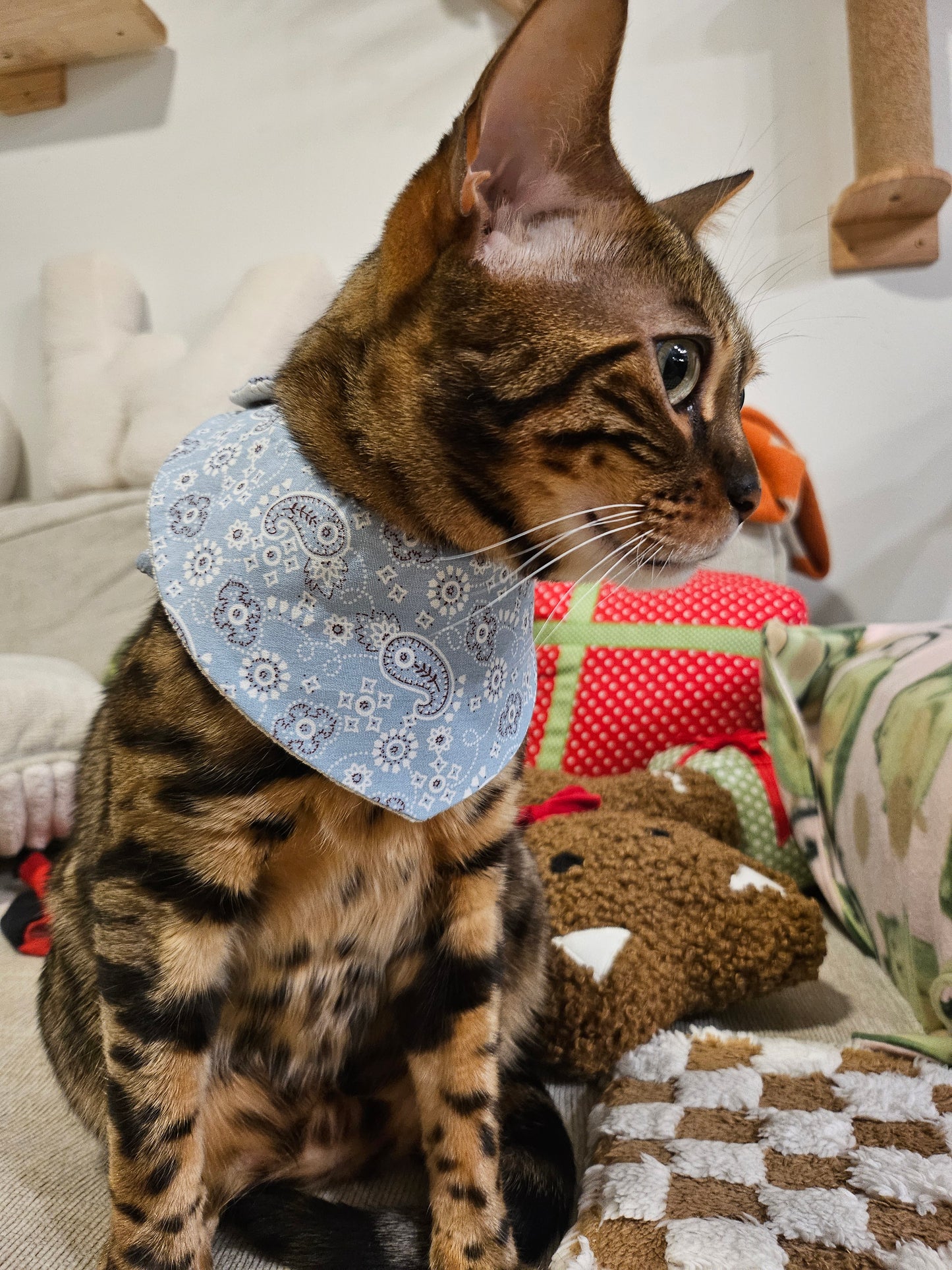 Purisian Beau Pet Bandana (reversible)