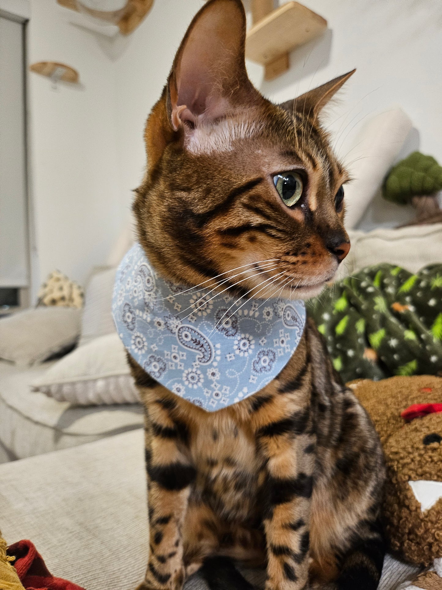 Purisian Beau Pet Bandana (reversible)
