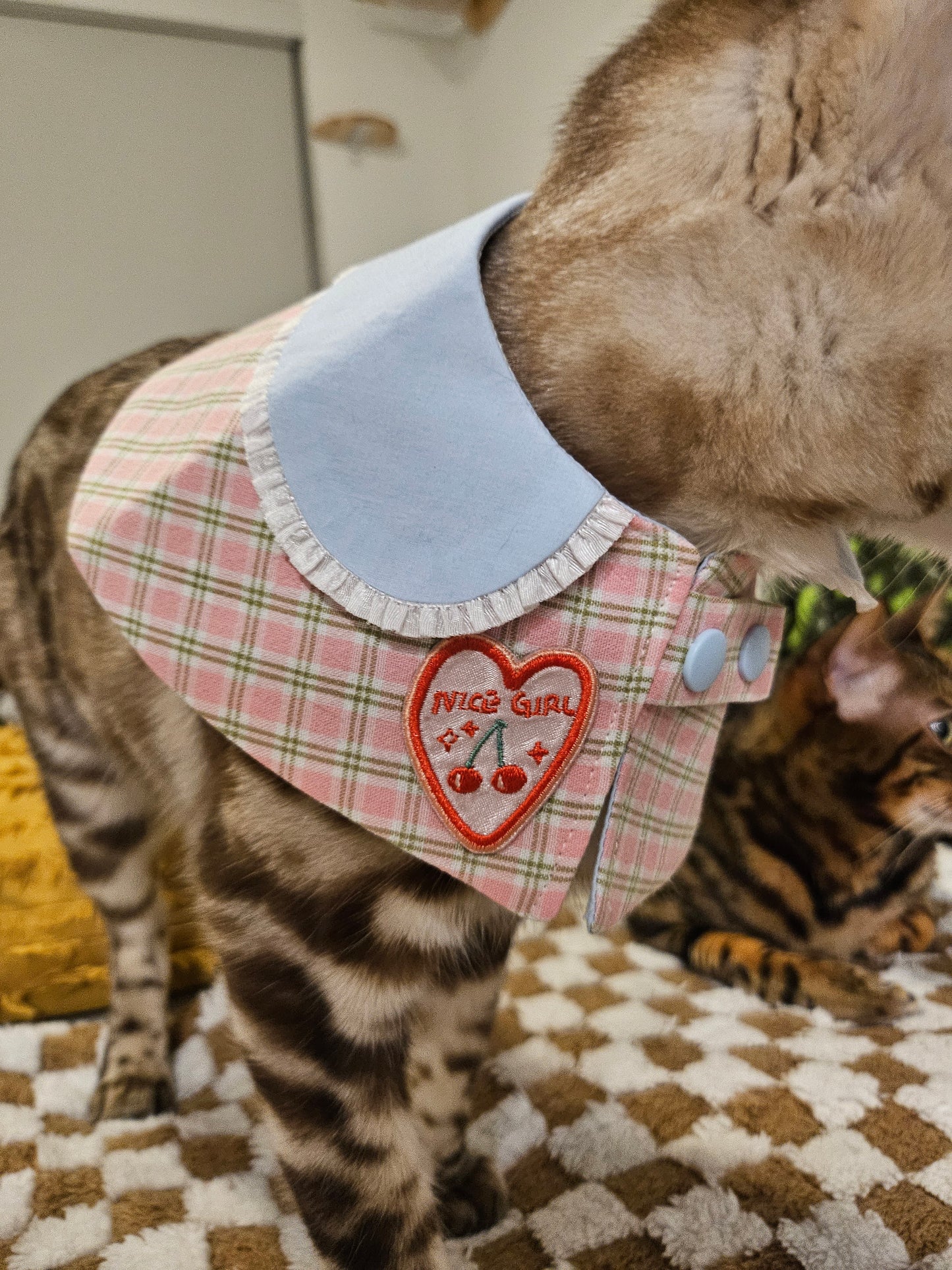 Sweetheart Pet Bandana