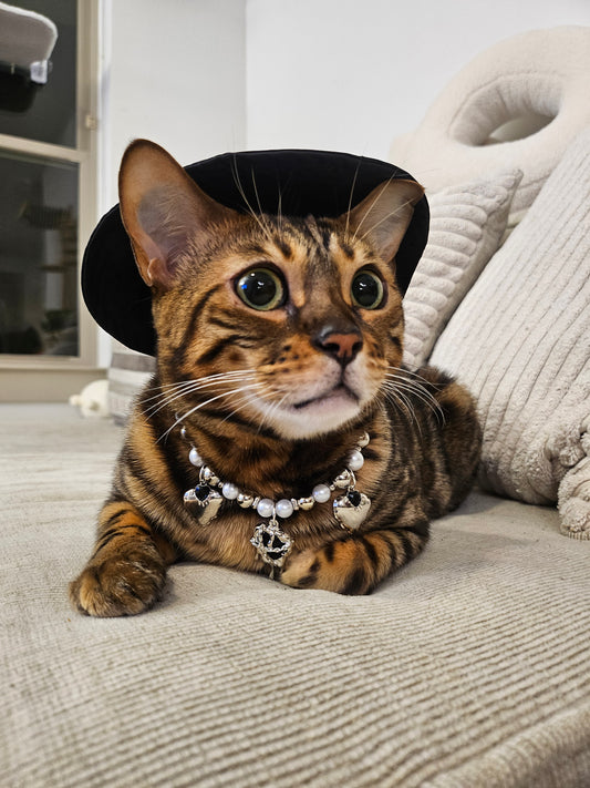 Bad Romance Pet Necklace