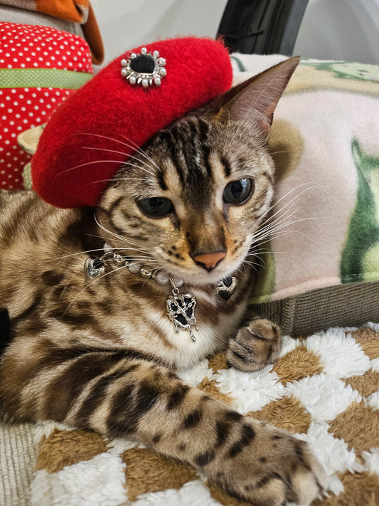 Bad Romance Pet Beret