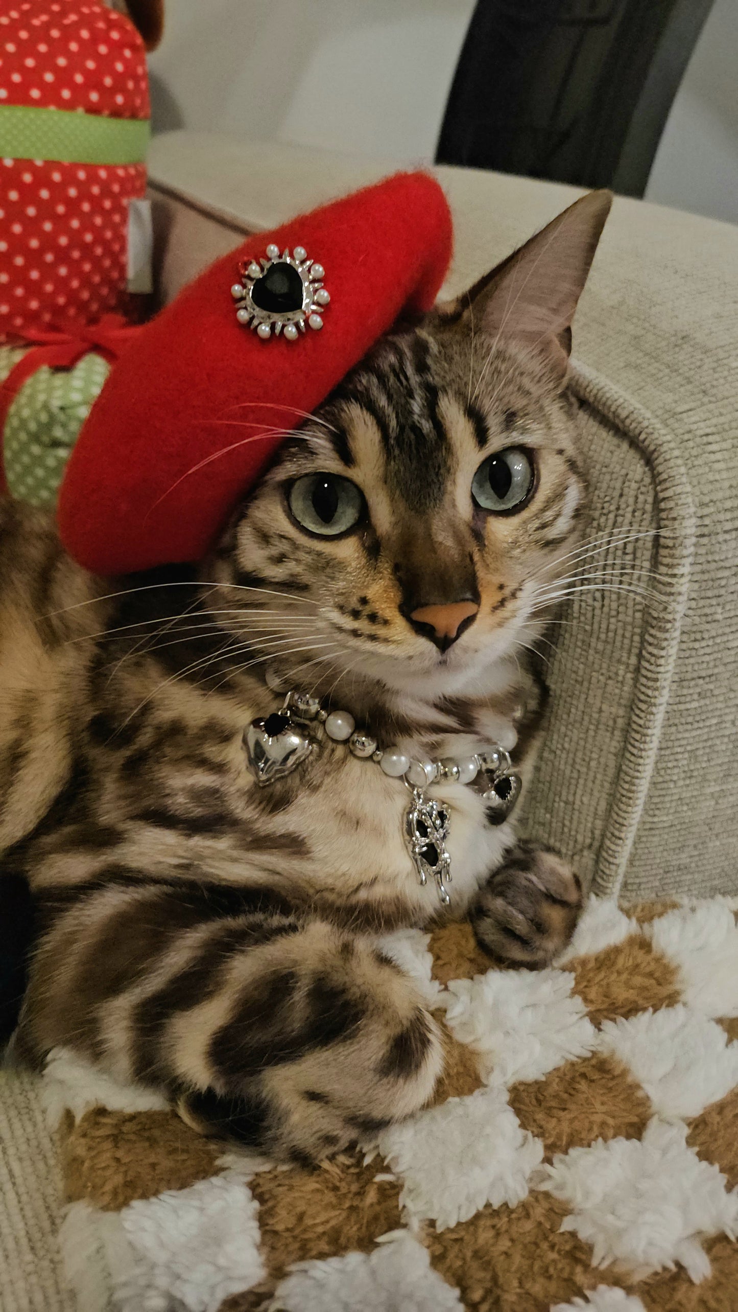 Bad Romance Pet Necklace
