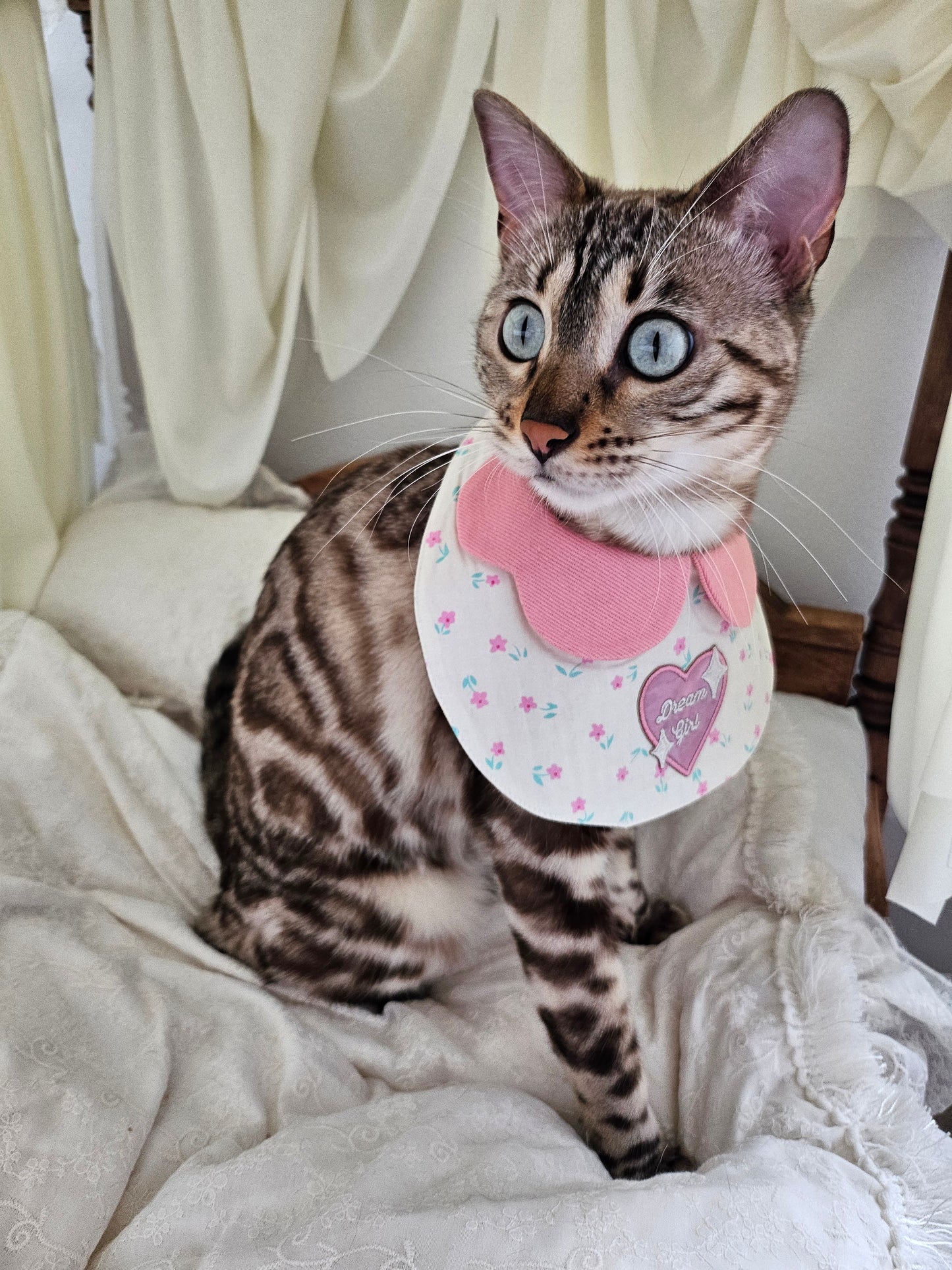 Dream Girl Pet Bandana (reversible)