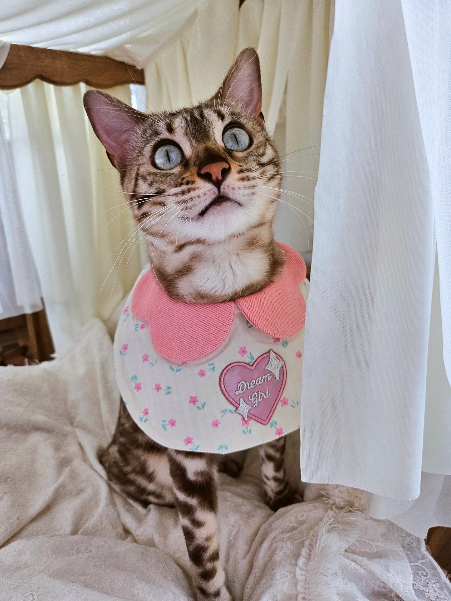 Dream Girl Pet Bandana (reversible)