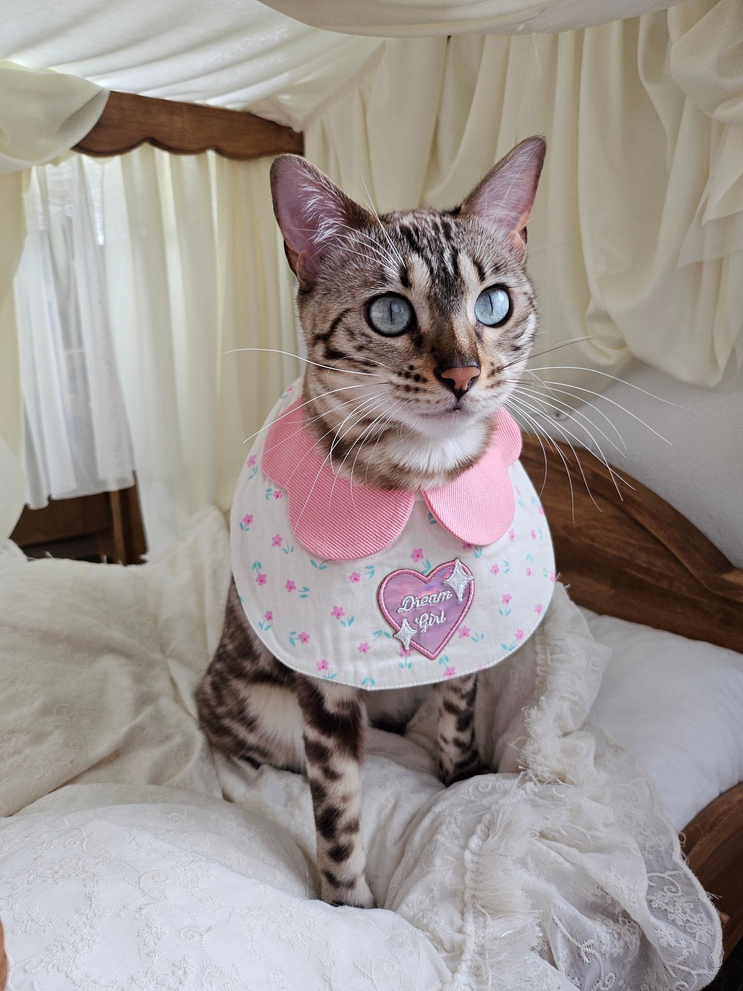 Dream Girl Pet Bandana (reversible)