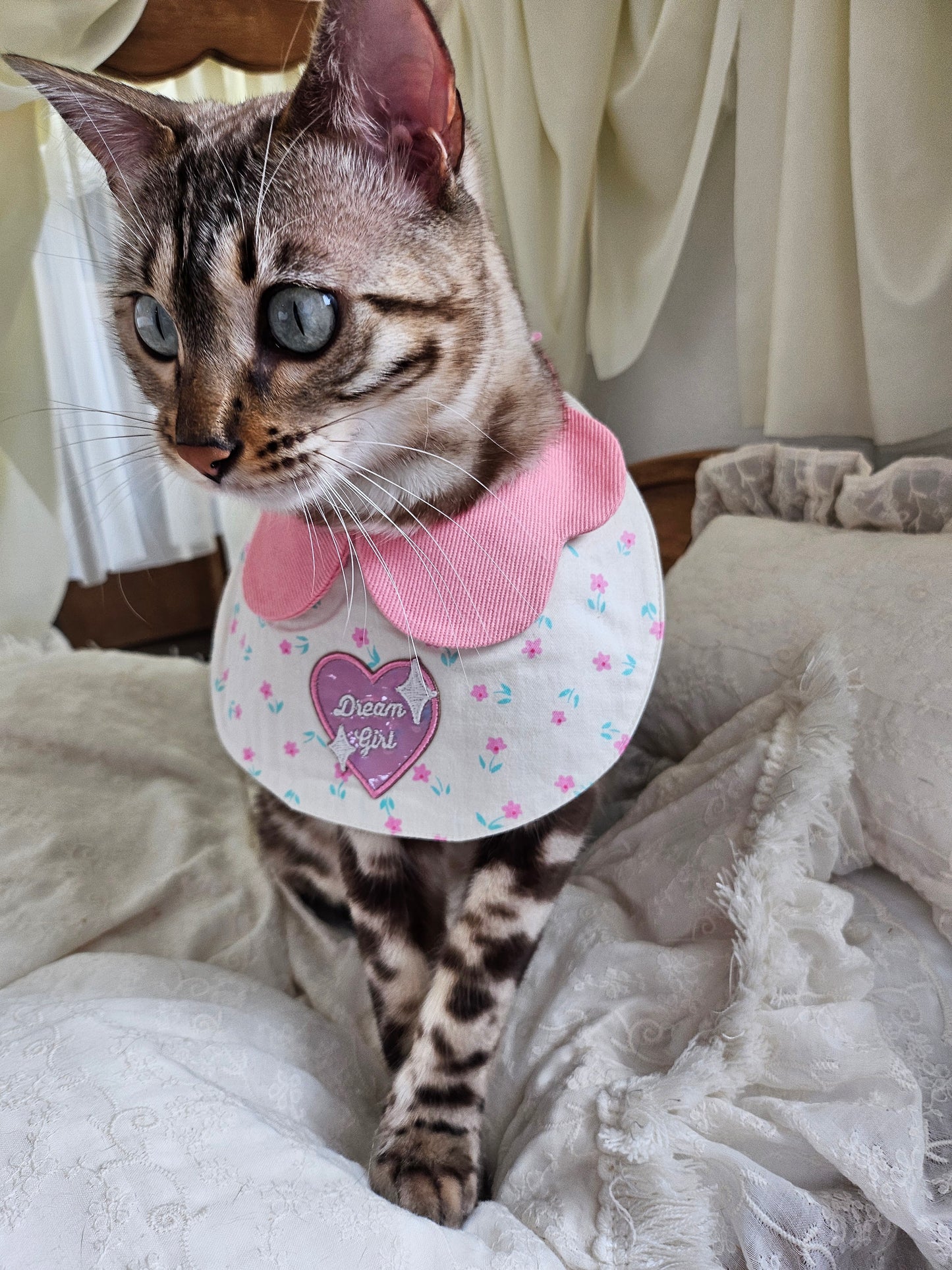 Dream Girl Pet Bandana (reversible)