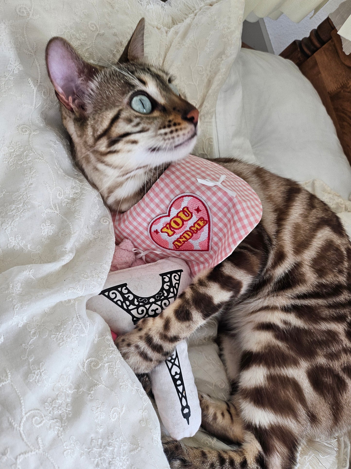 Dream Girl Pet Bandana (reversible)