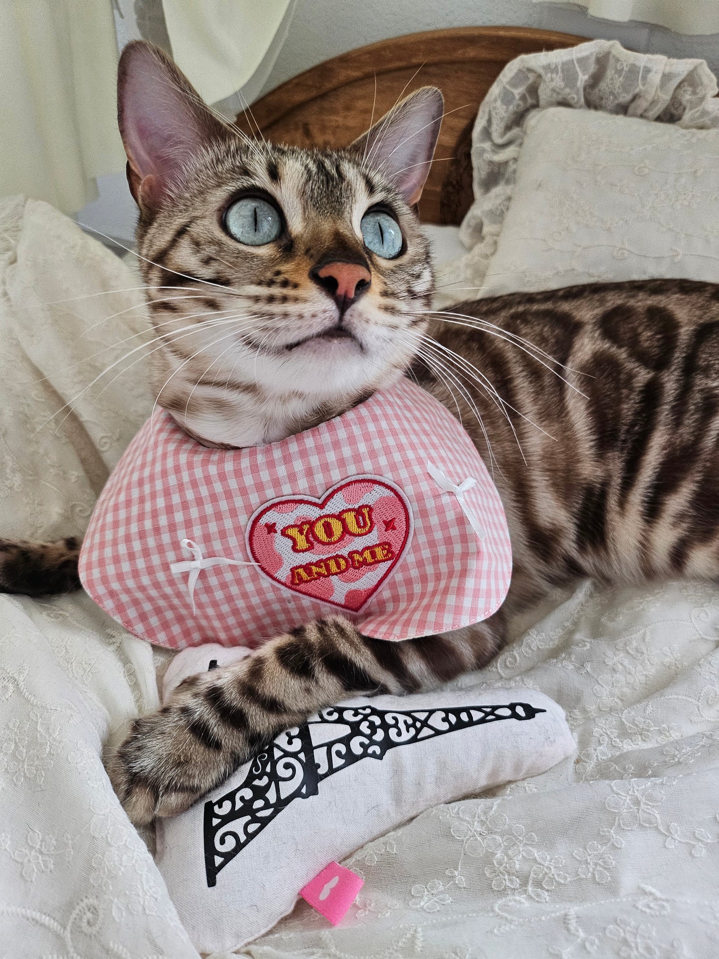 Dream Girl Pet Bandana (reversible)