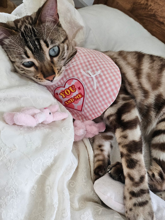 Dream Girl Pet Bandana (reversible)