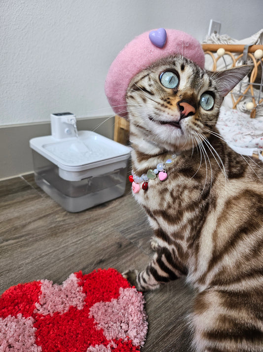 Love you Pet Beret
