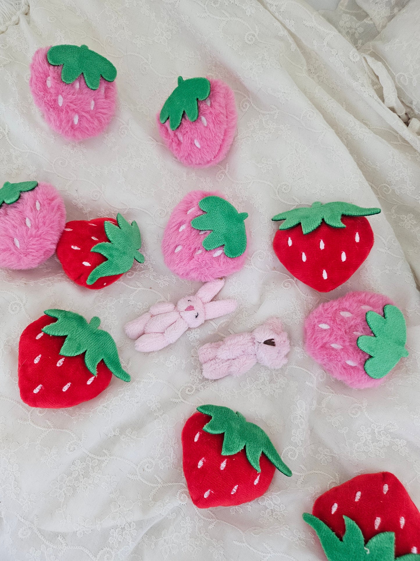 Catnip Strawberries and tin