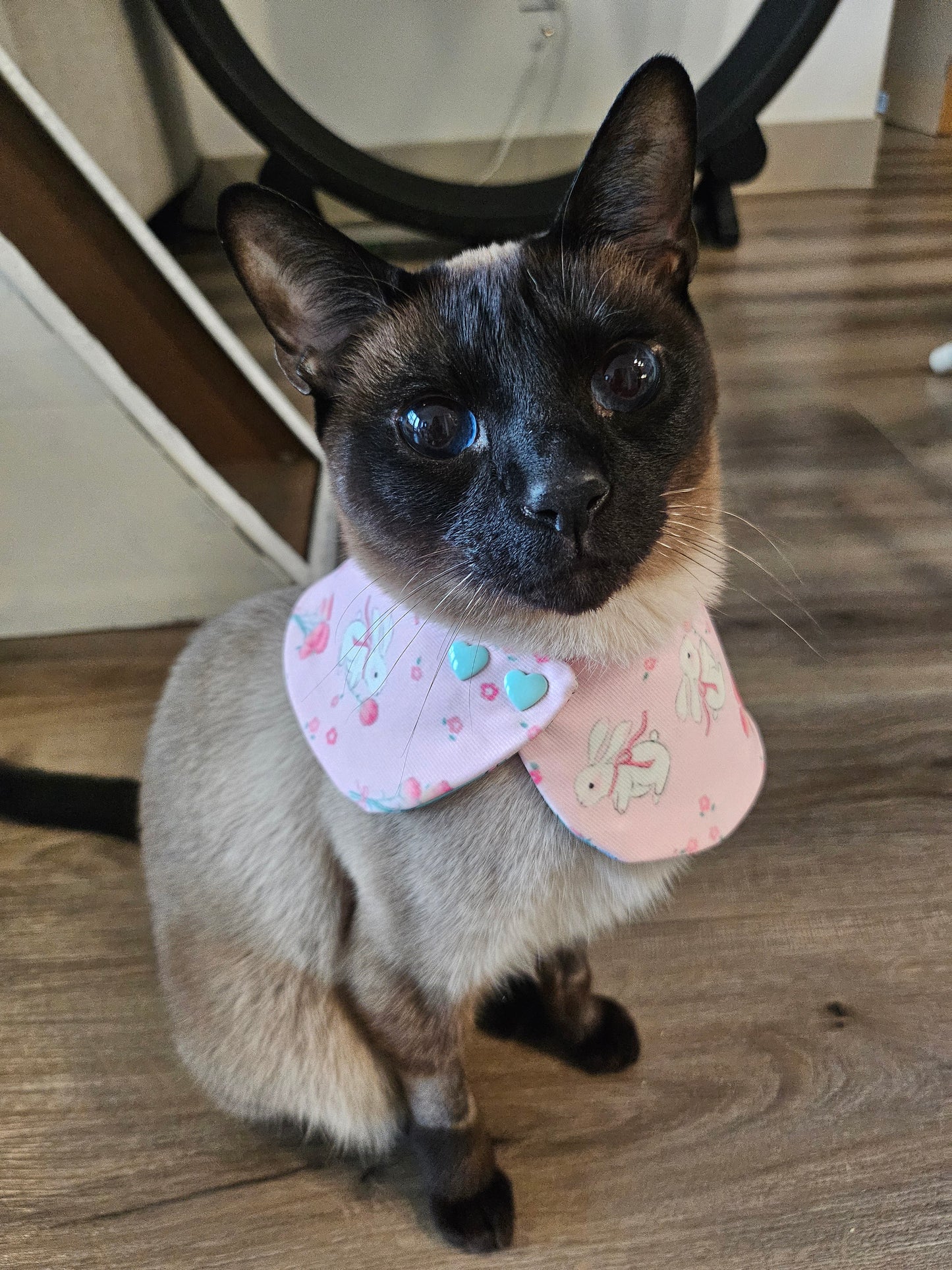 Furever Love Pet Bandana (reversible)