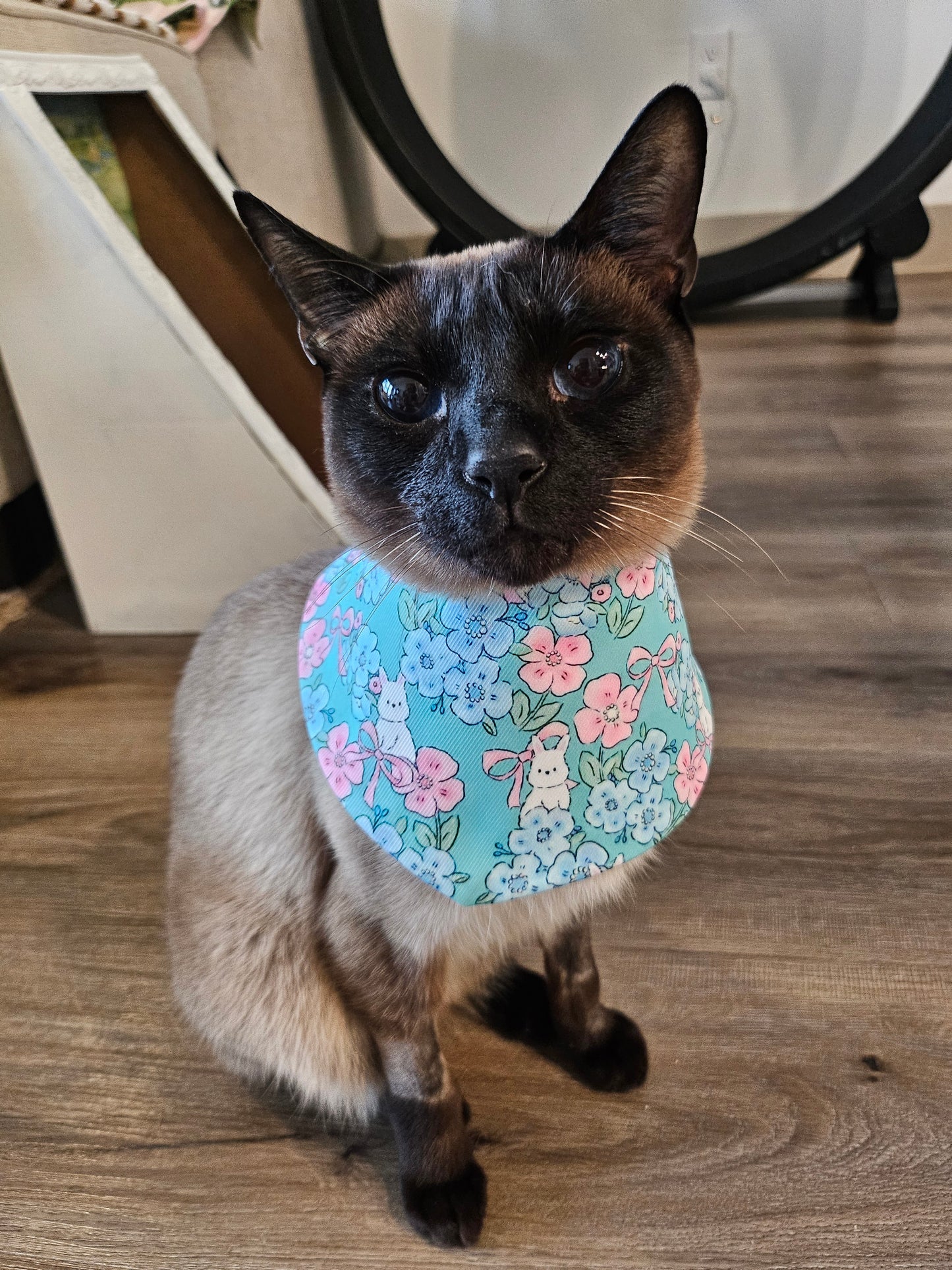 Furever Love Pet Bandana (reversible)