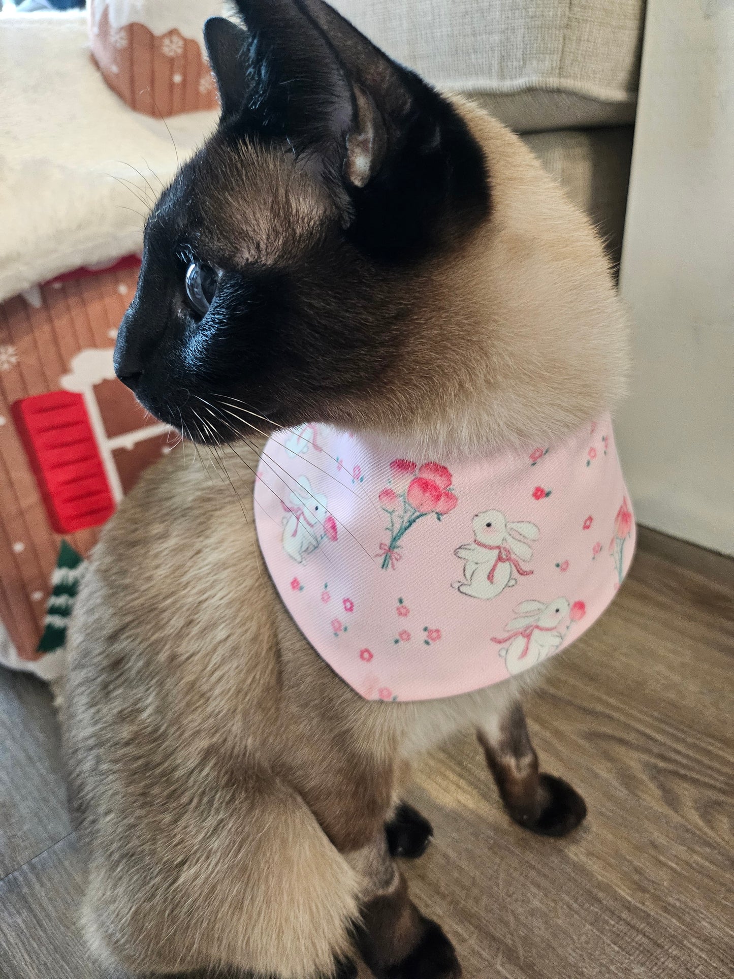 Furever Love Pet Bandana (reversible)