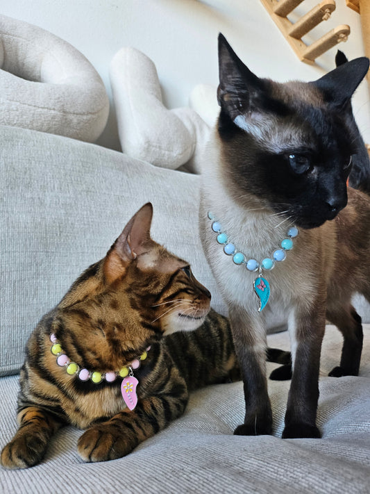 BFF Pet and Adult Necklace
