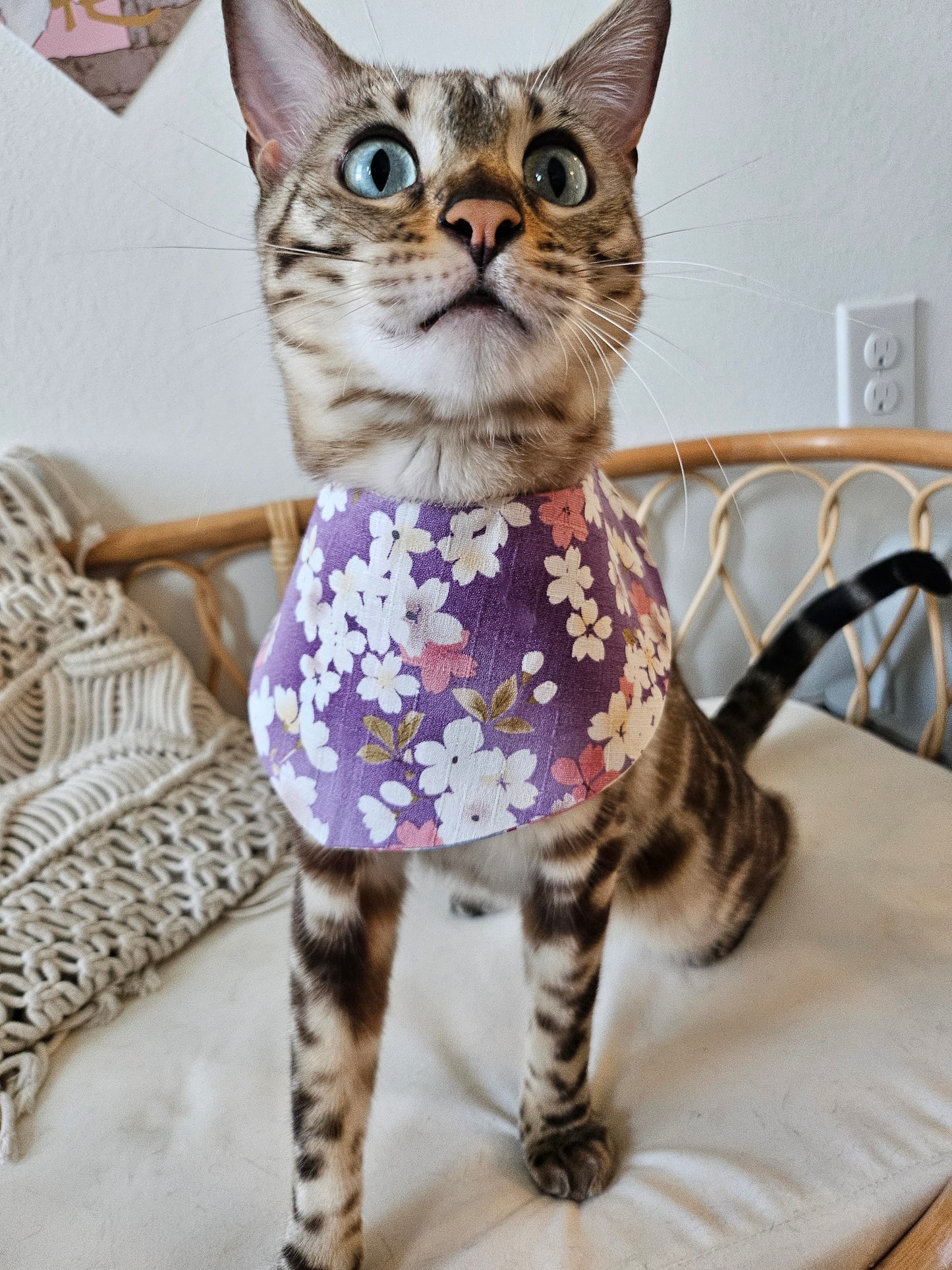 Sakura Pet Bandana (reversible)