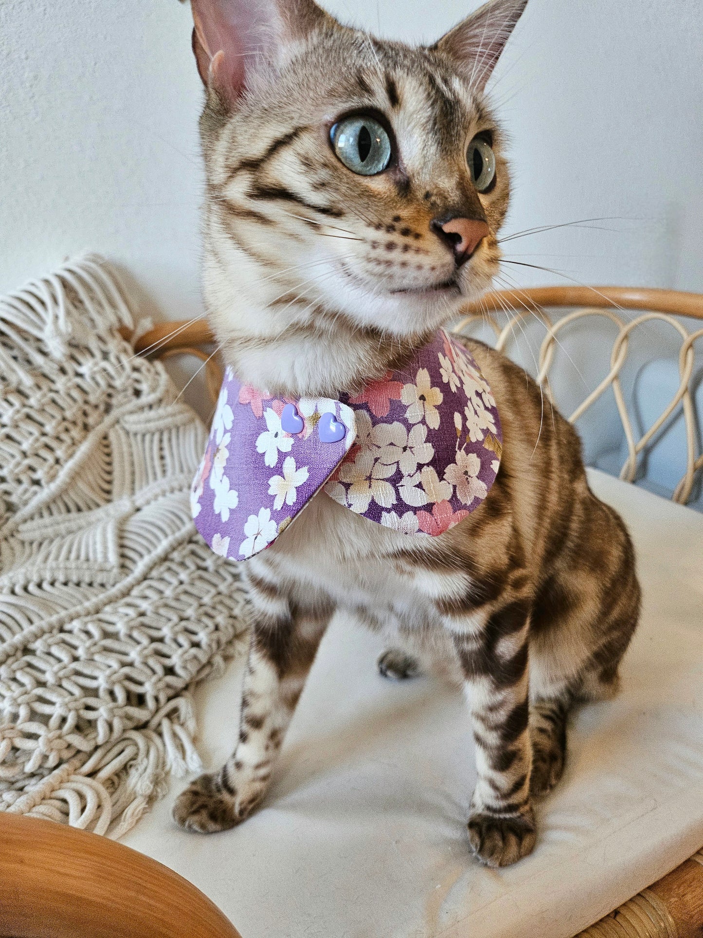 Sakura Pet Bandana (reversible)