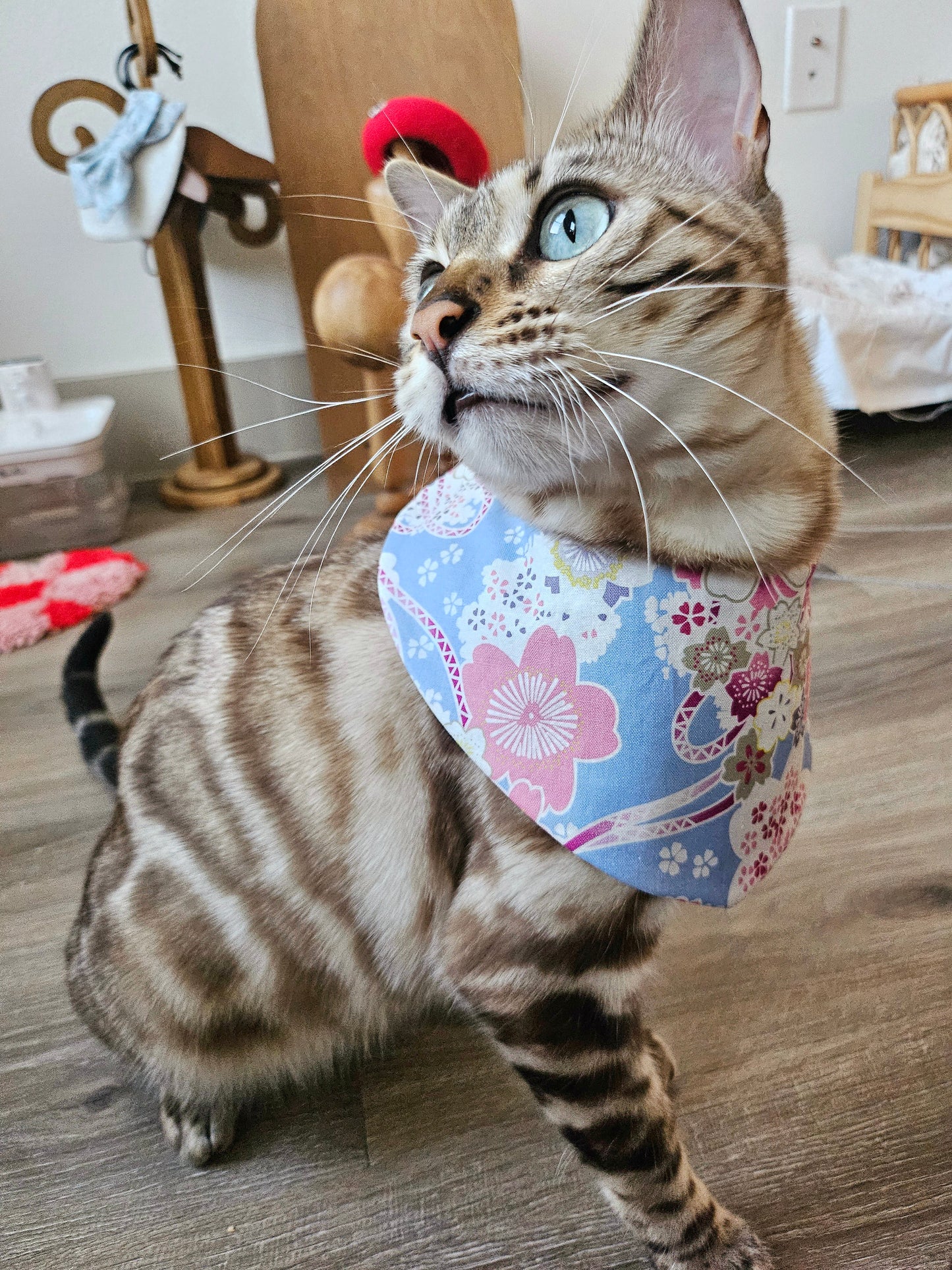 Sakura Pet Bandana (reversible)
