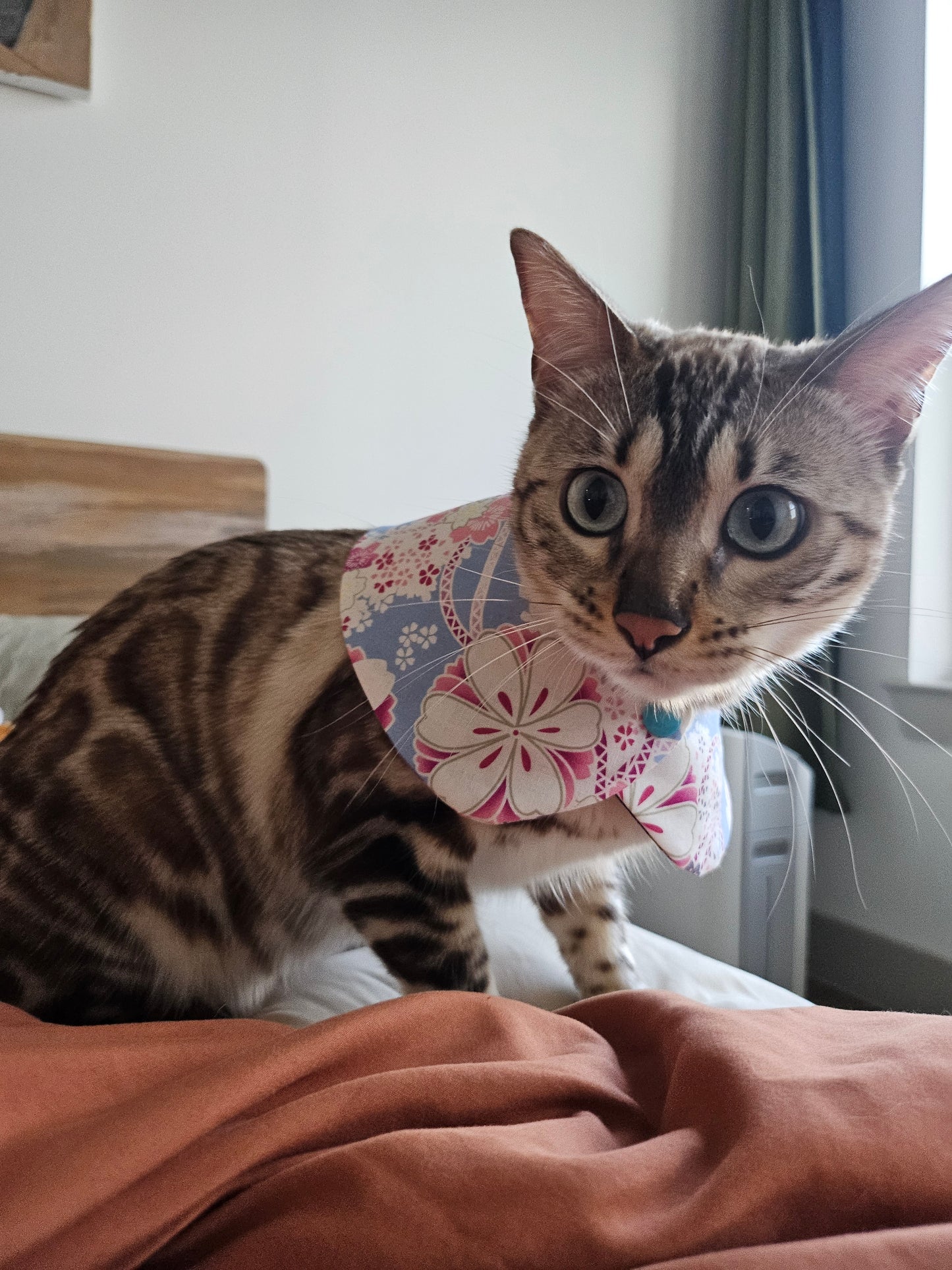 Sakura Pet Bandana (reversible)