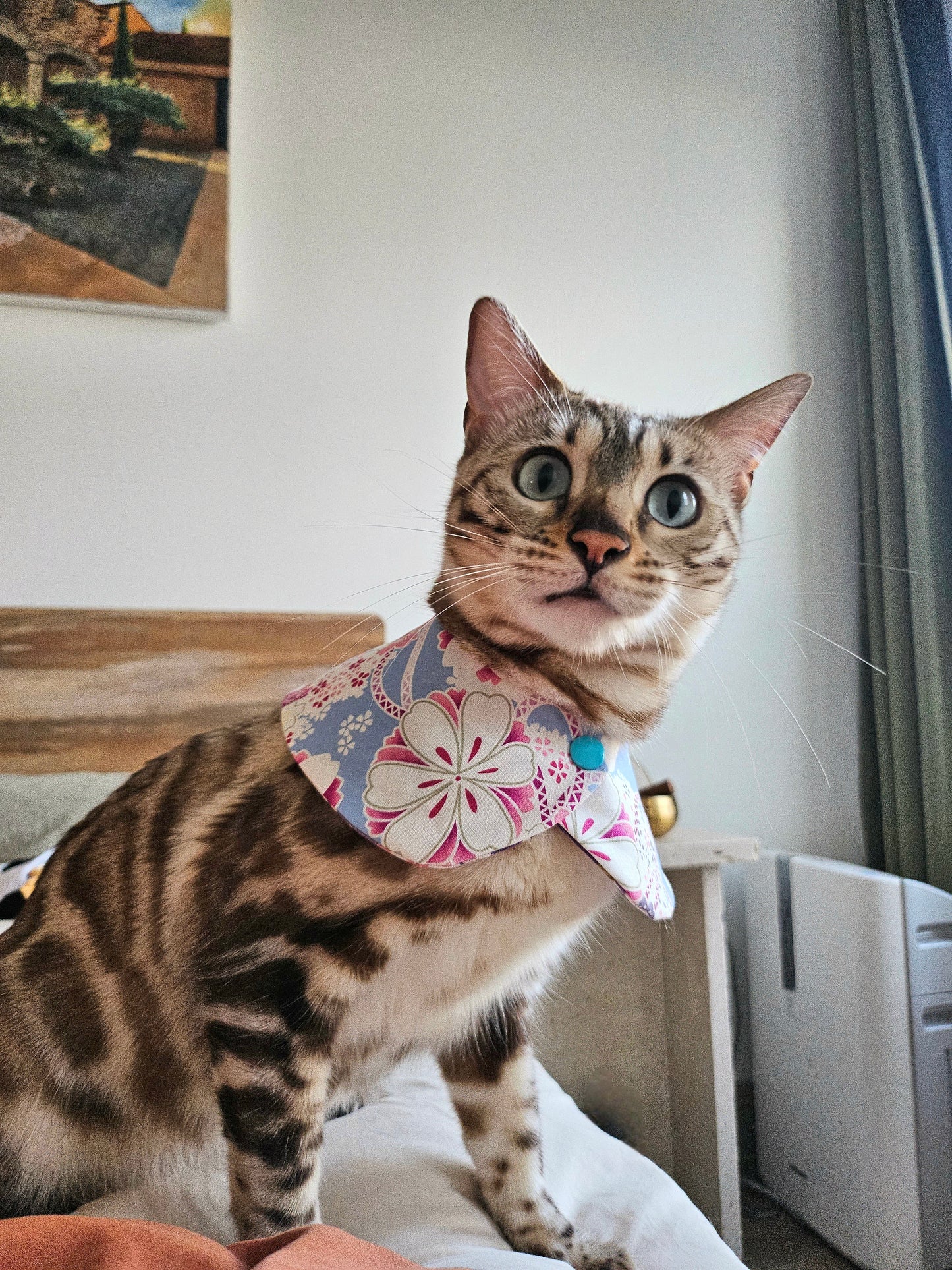 Sakura Pet Bandana (reversible)