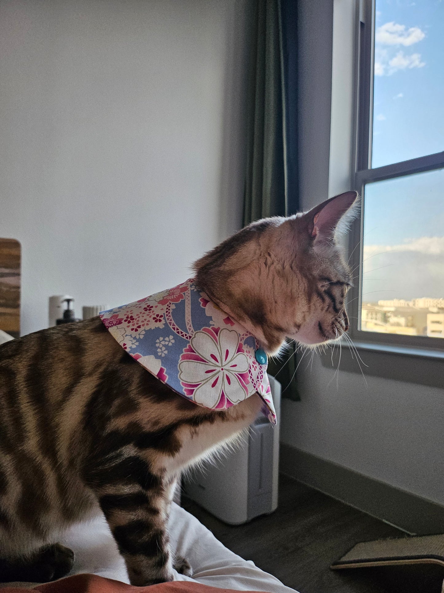 Sakura Pet Bandana (reversible)