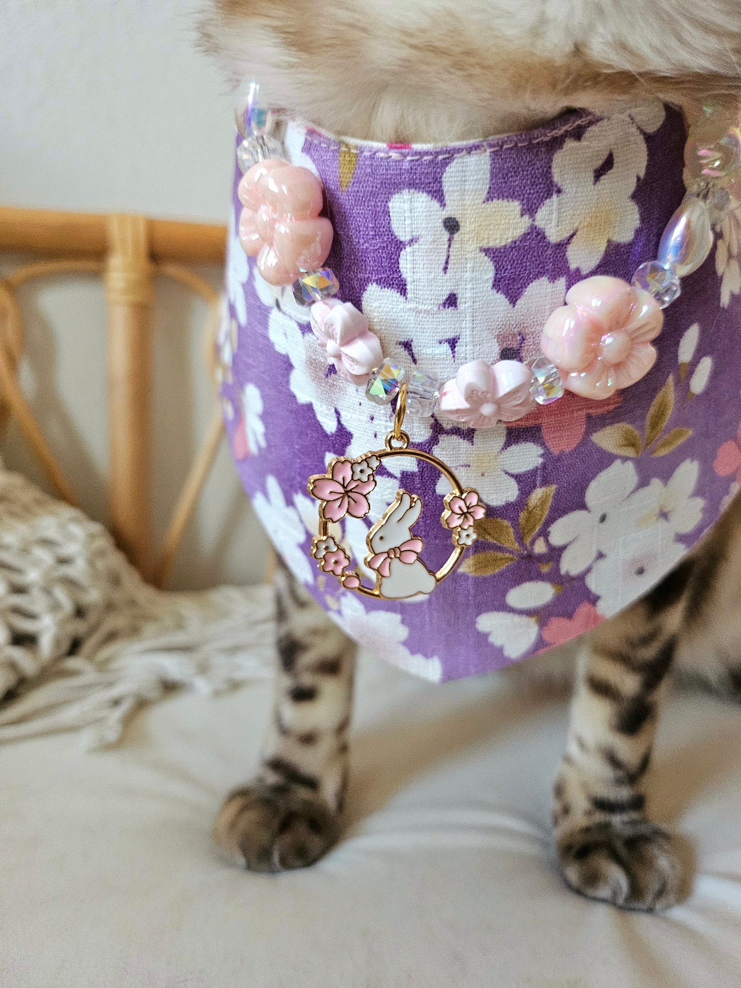 Sakura Pet Bandana (reversible)