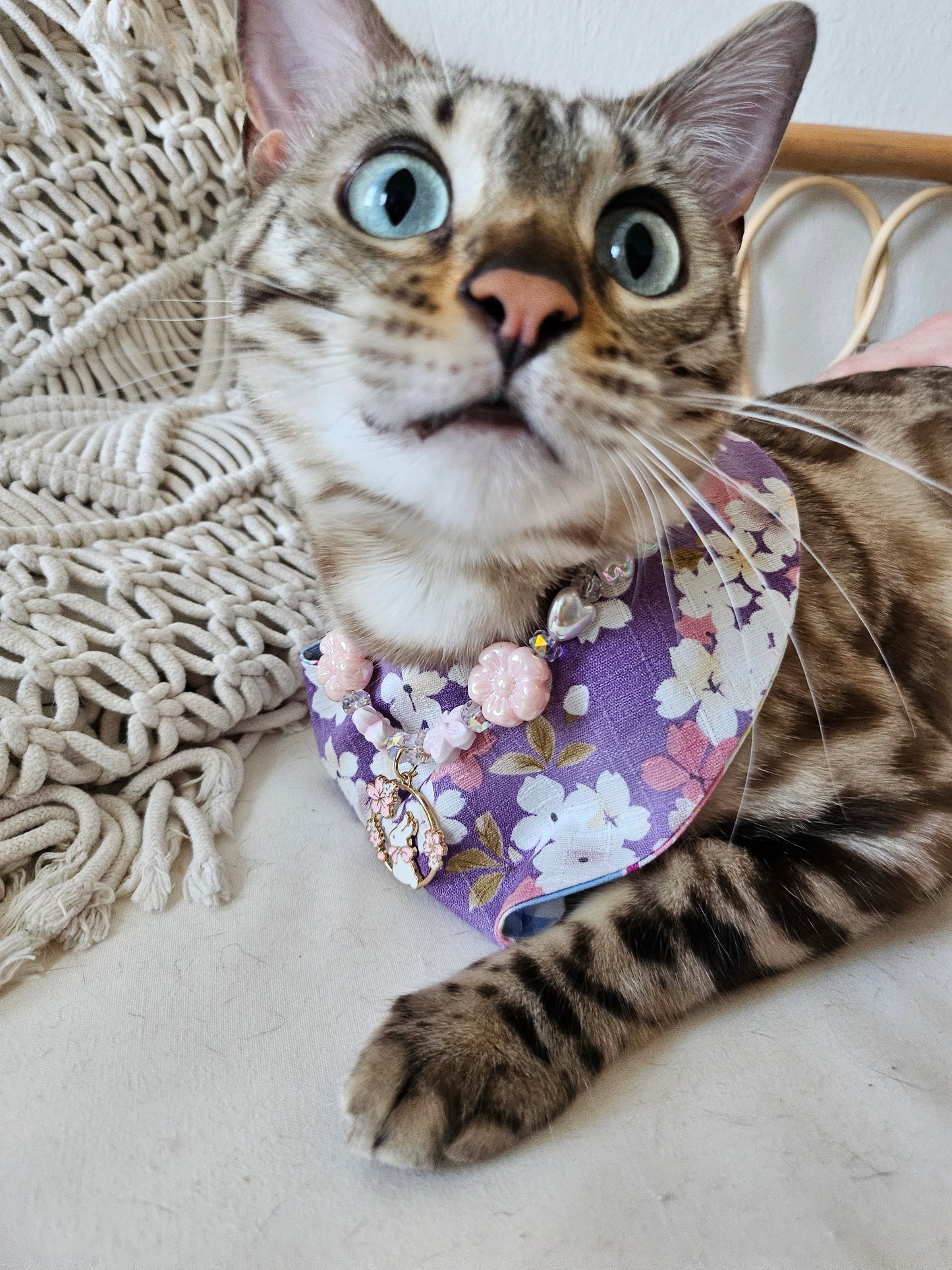 Sakura Pet Bandana (reversible)
