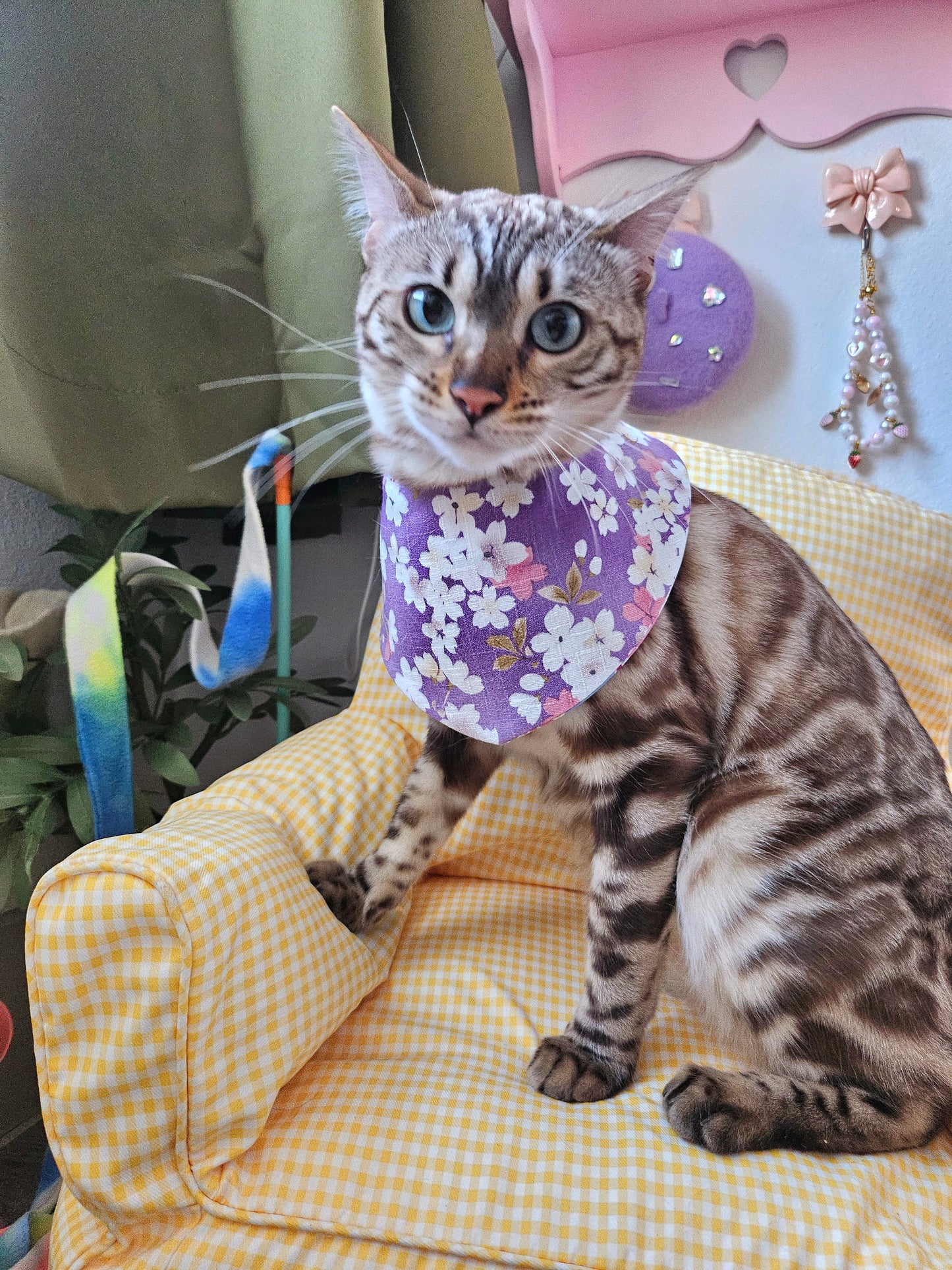 Sakura Pet Bandana (reversible)